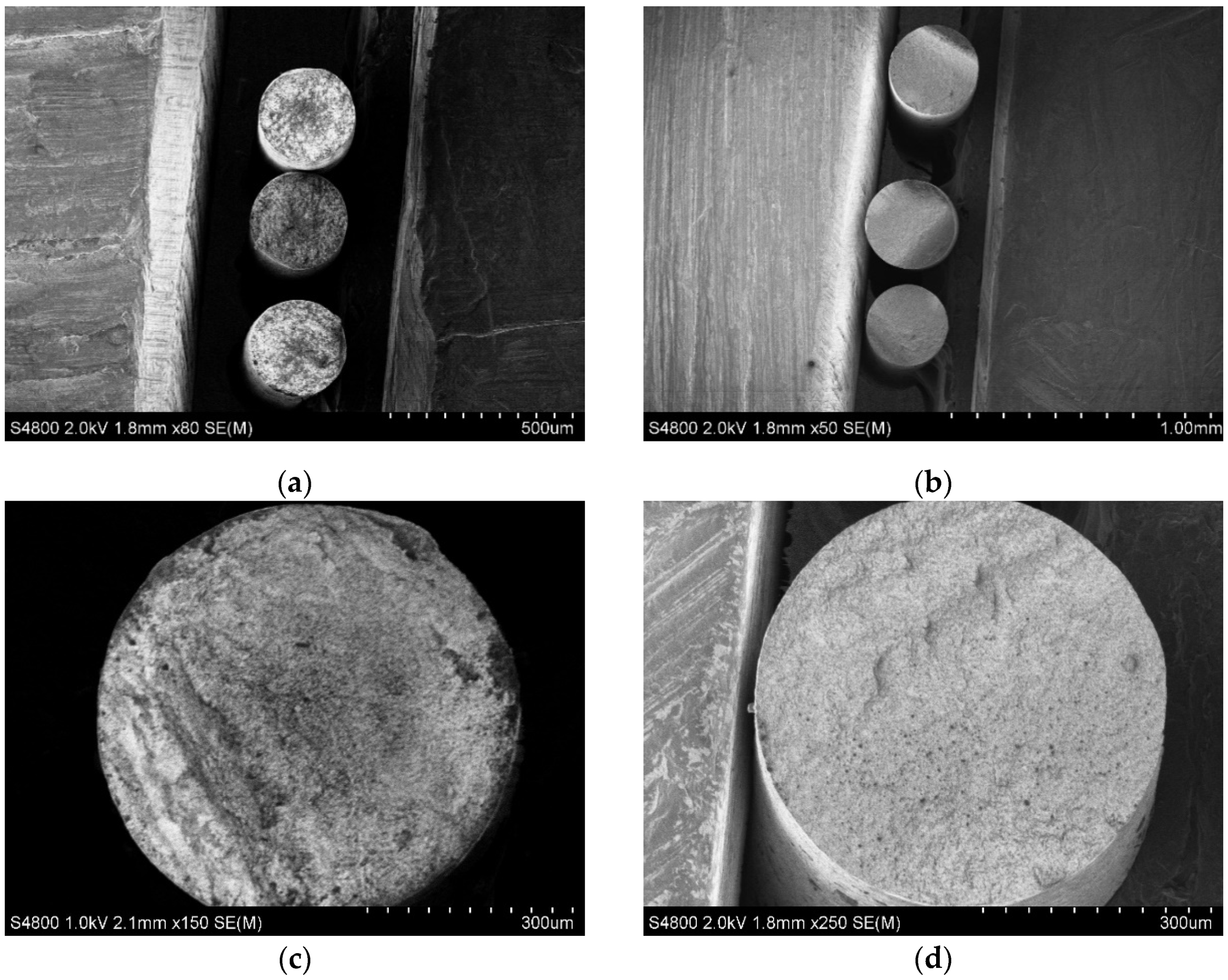 Polymers 15 02988 g006 Polymers 15 02988 g006