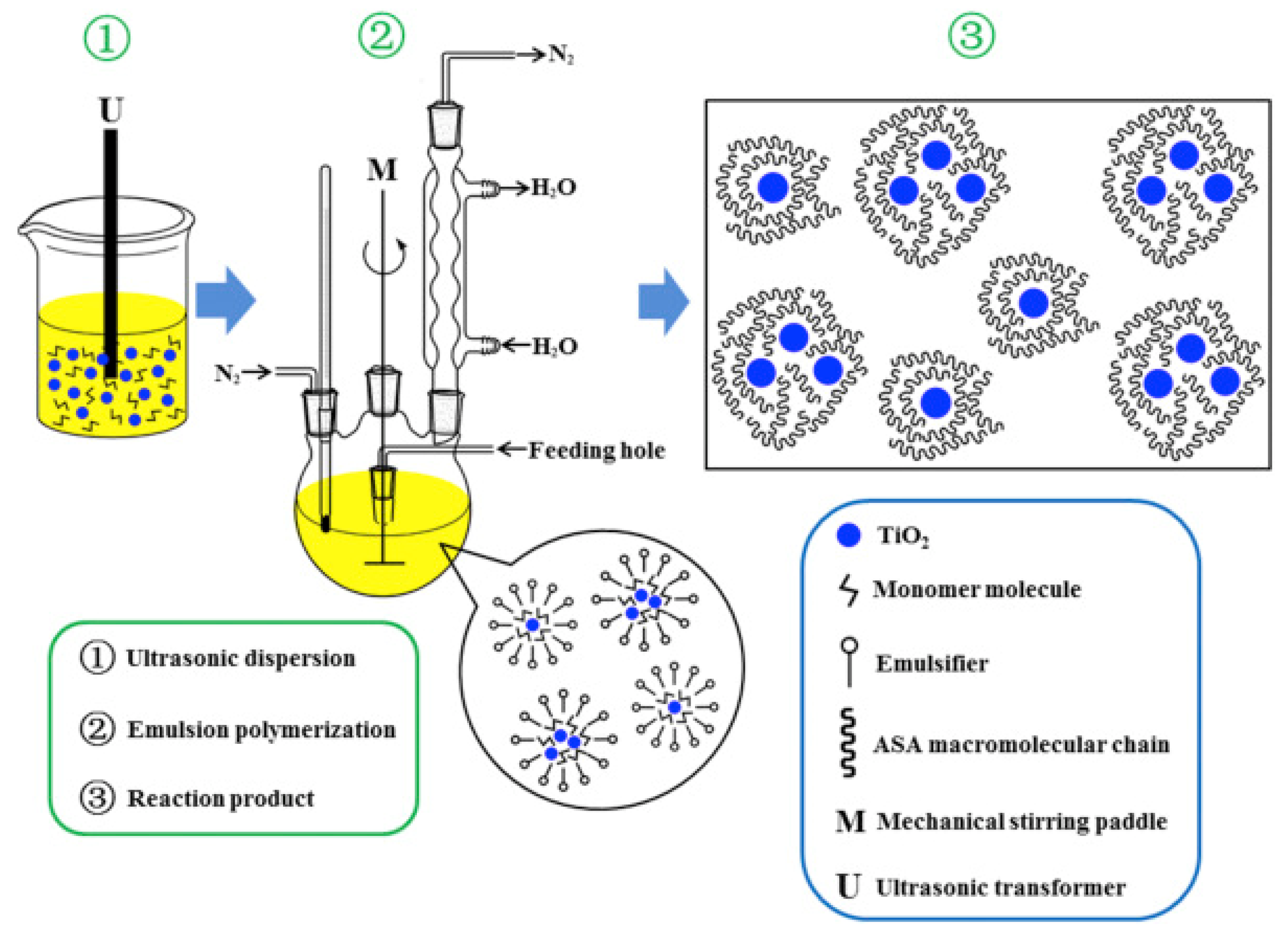 Polymers 15 02995 g006