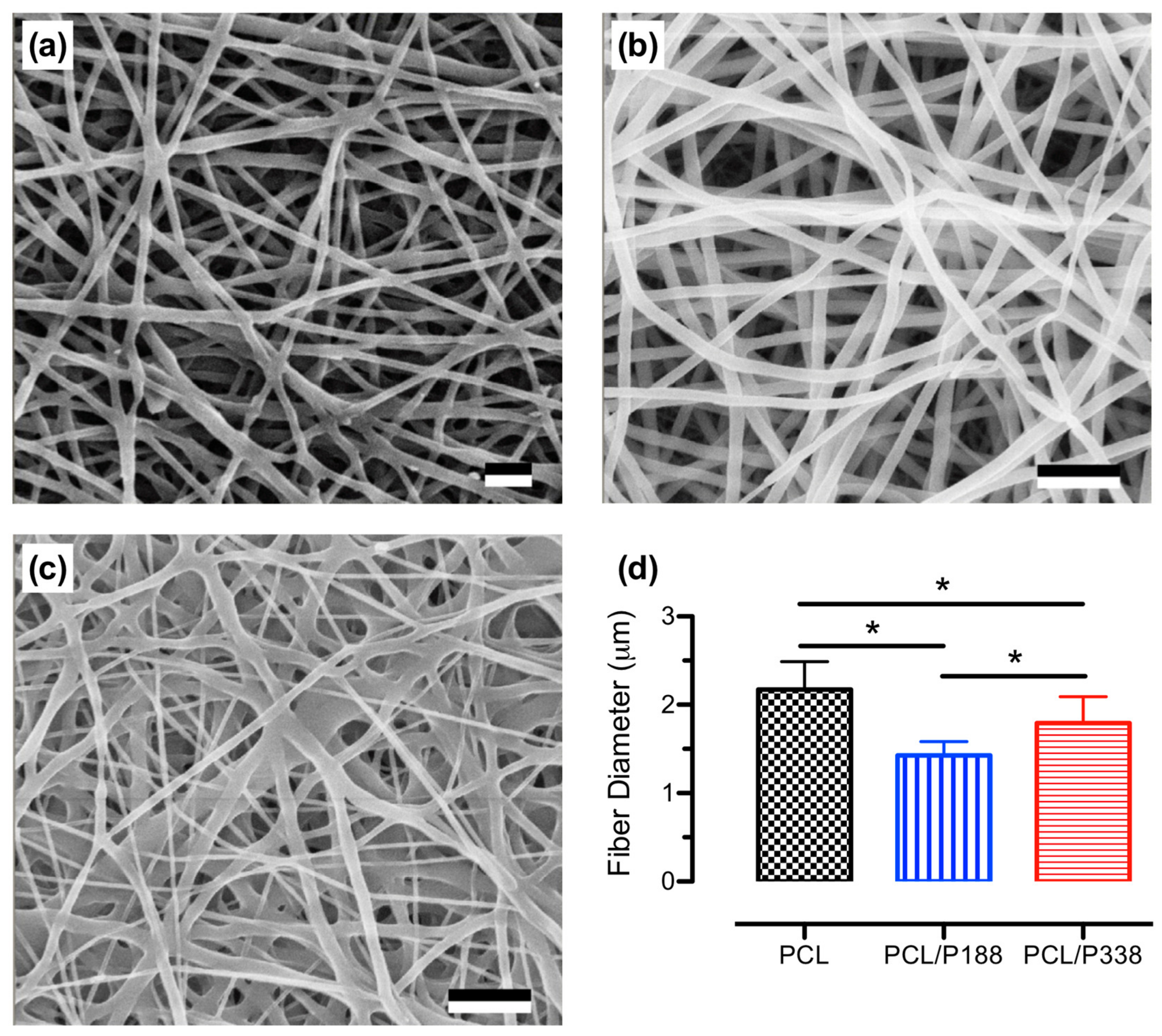 Polymers 15 02997 g001