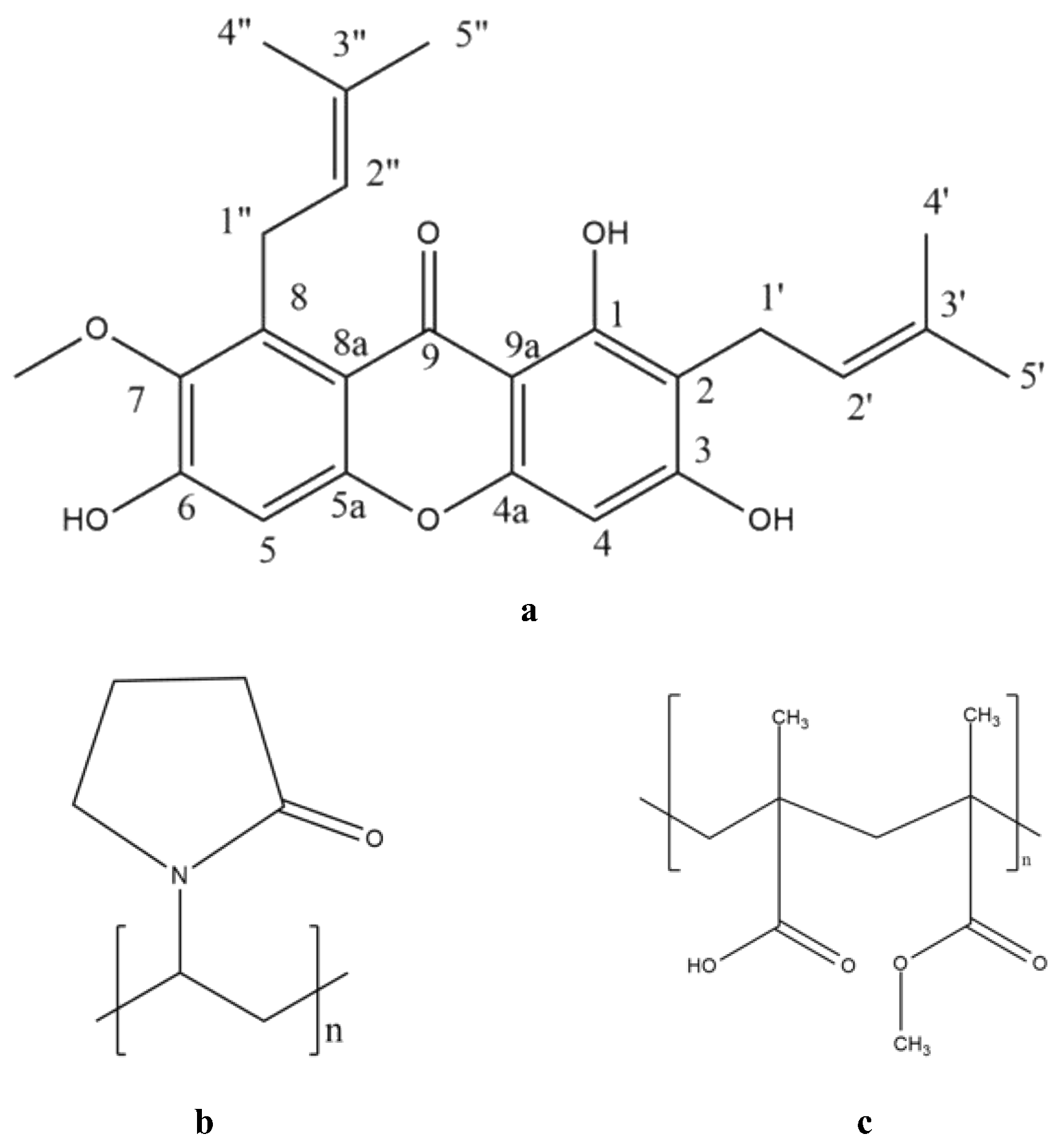Polymers 15 03034 g001