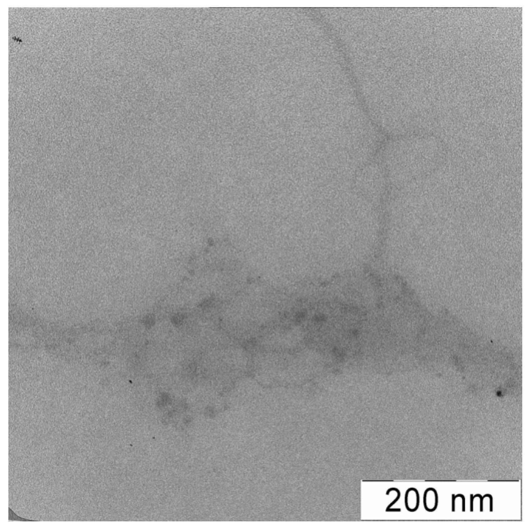 Polymers 15 03036 g008