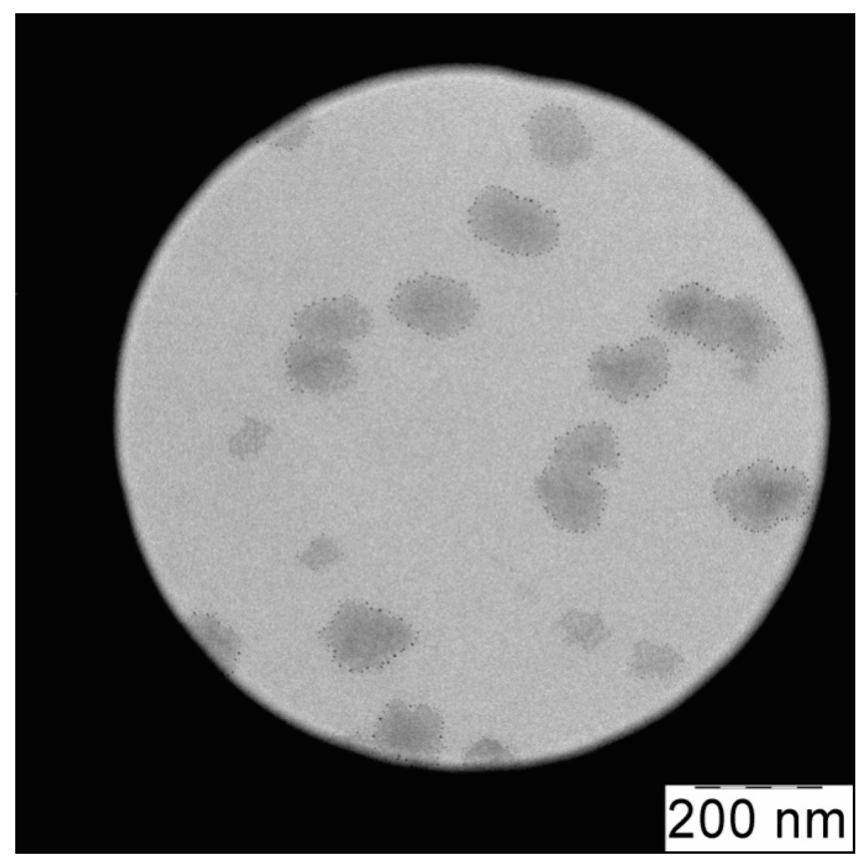 Polymers 15 03036 g009