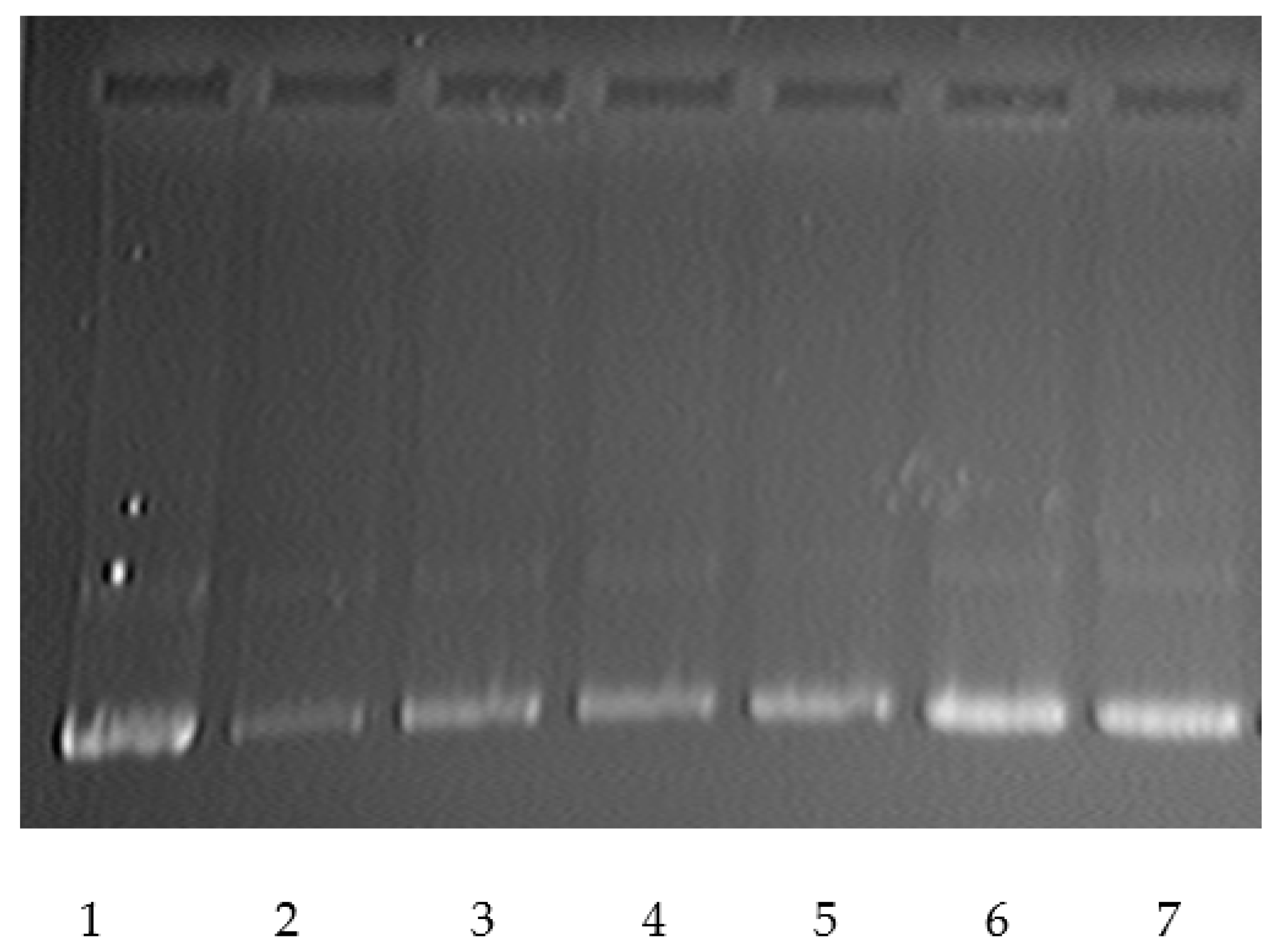 Polymers 15 03036 g010
