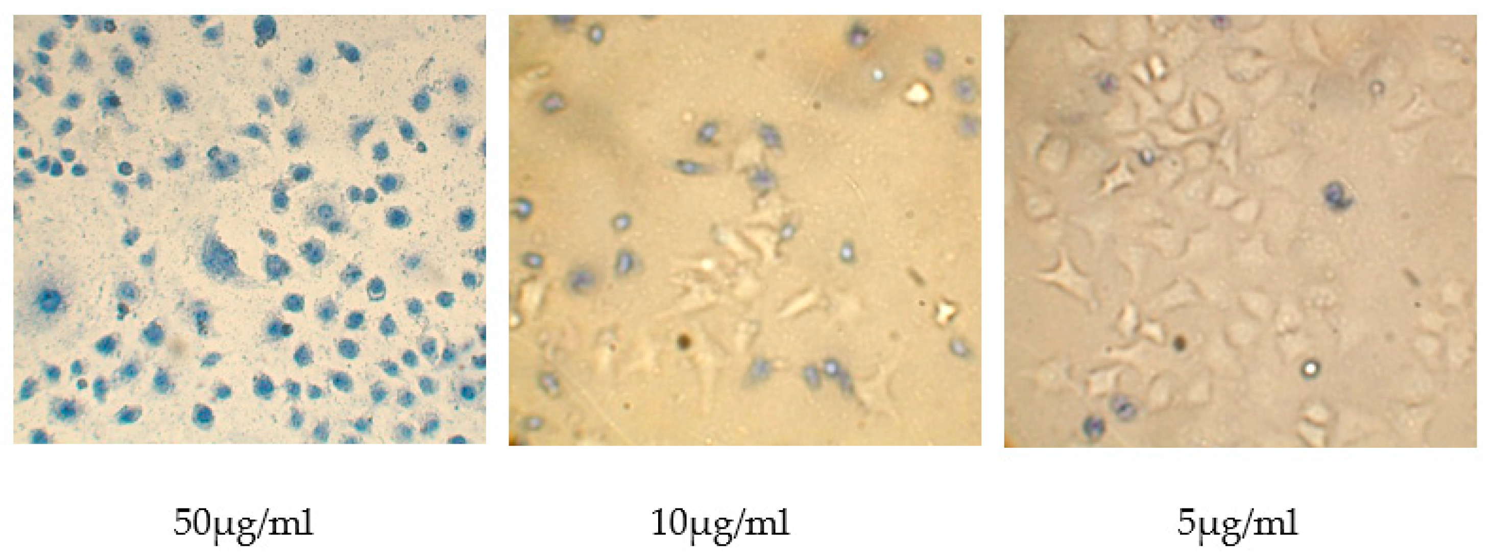 Polymers 15 03036 g012