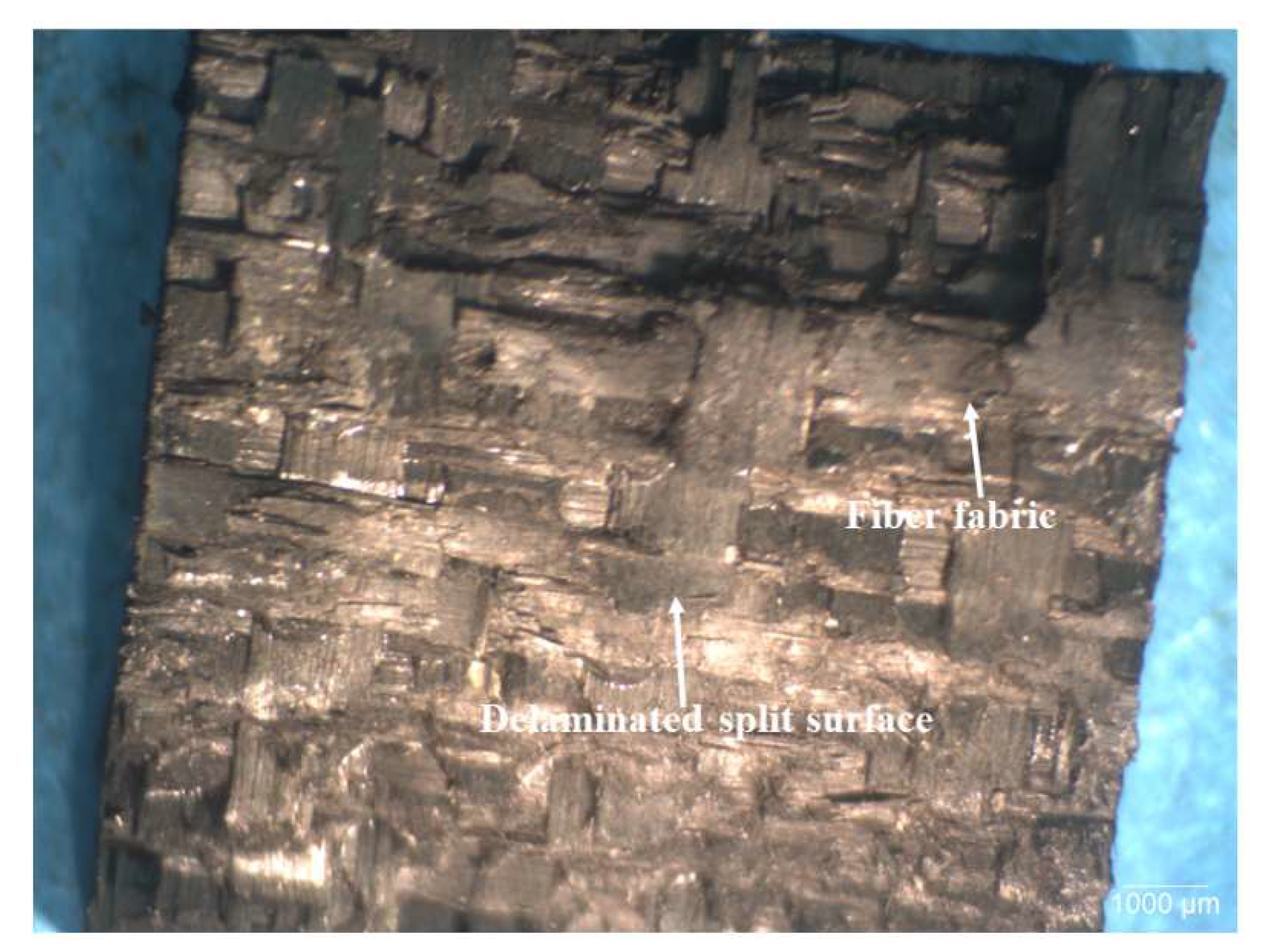 Polymers 15 03038 g024