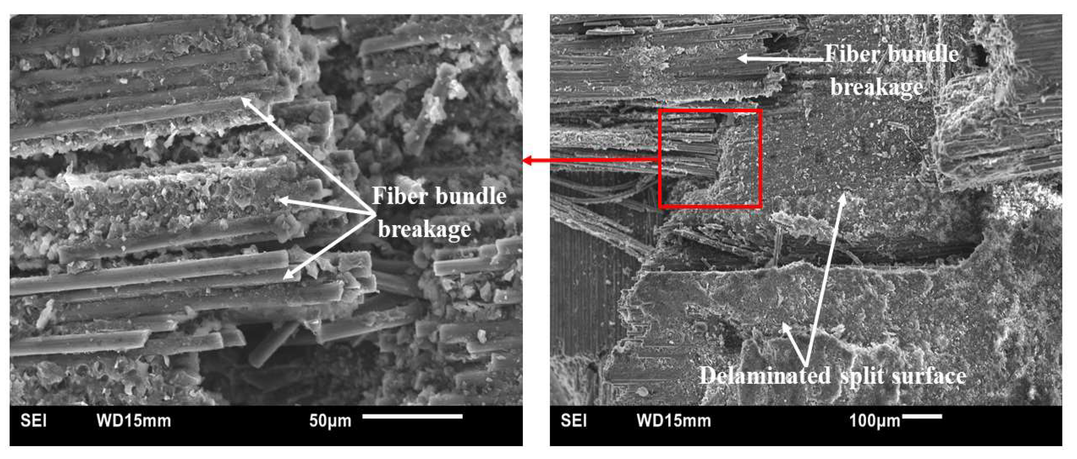 Polymers 15 03038 g025