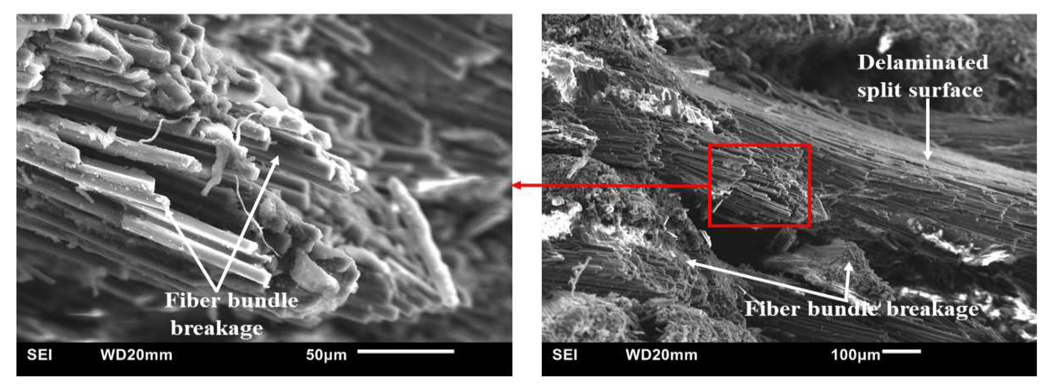 Polymers 15 03038 g026