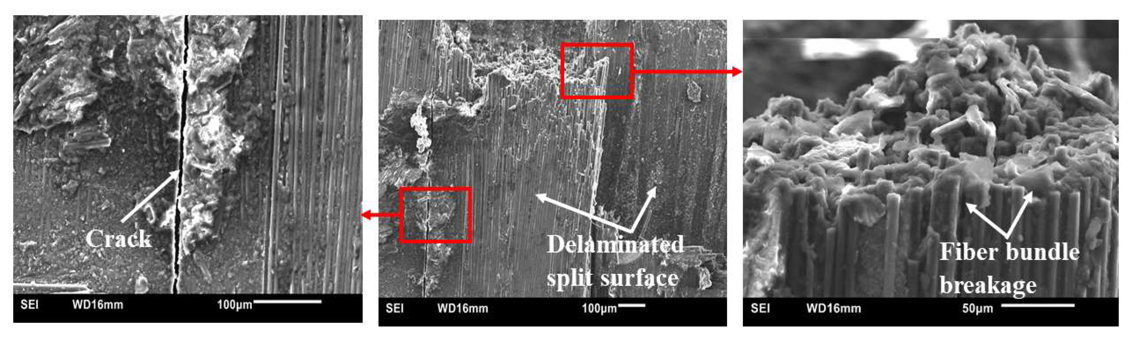 Polymers 15 03038 g027
