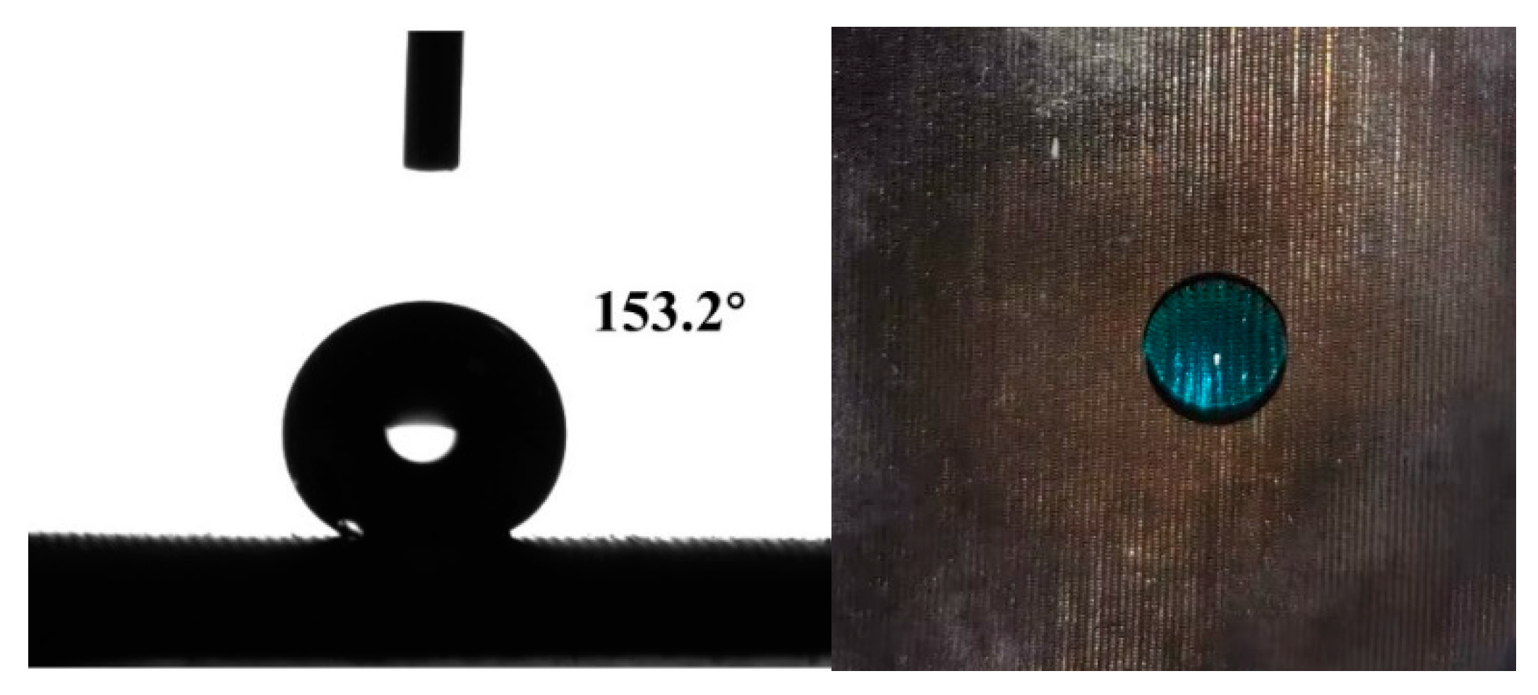 Polymers 15 03042 g007 Polymers 15 03042 g007
