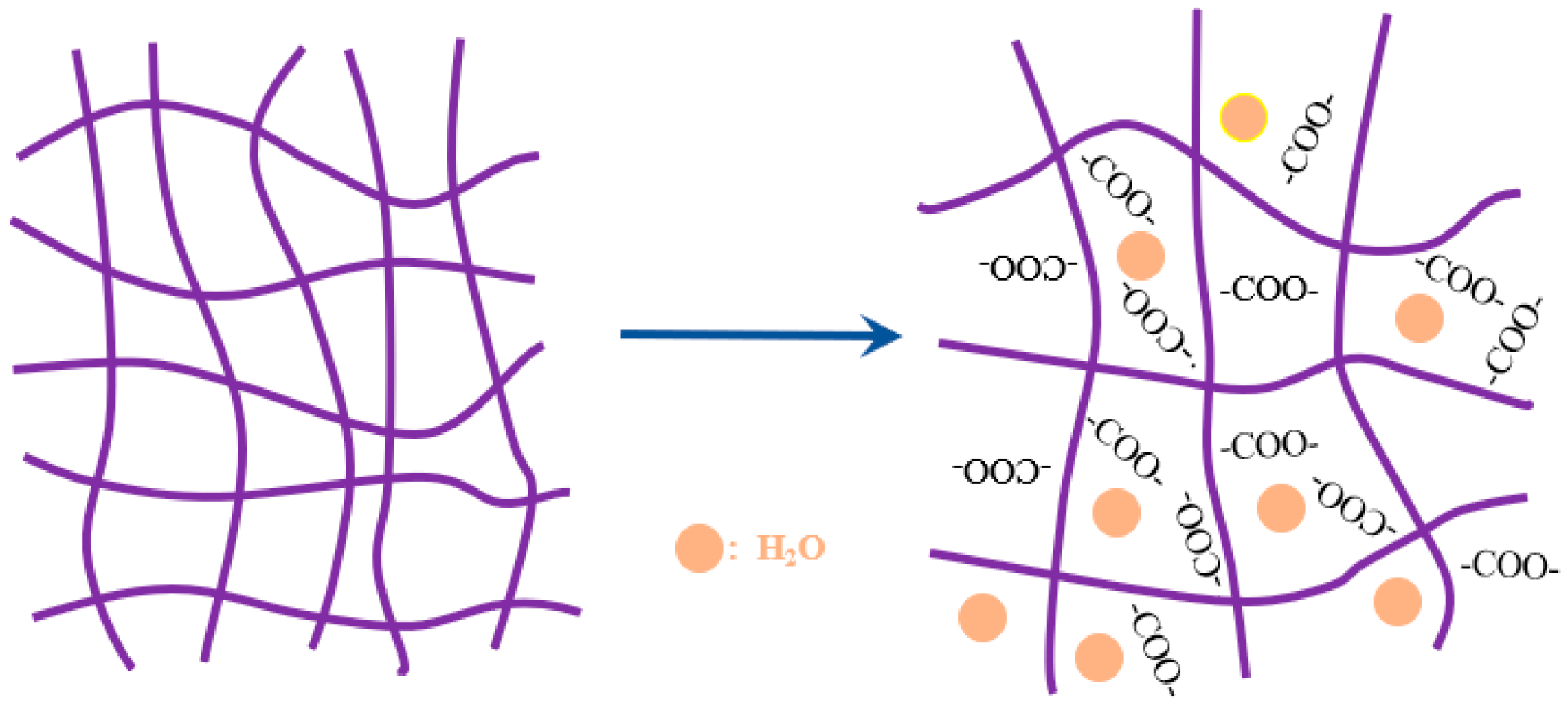 Polymers 15 03062 g008