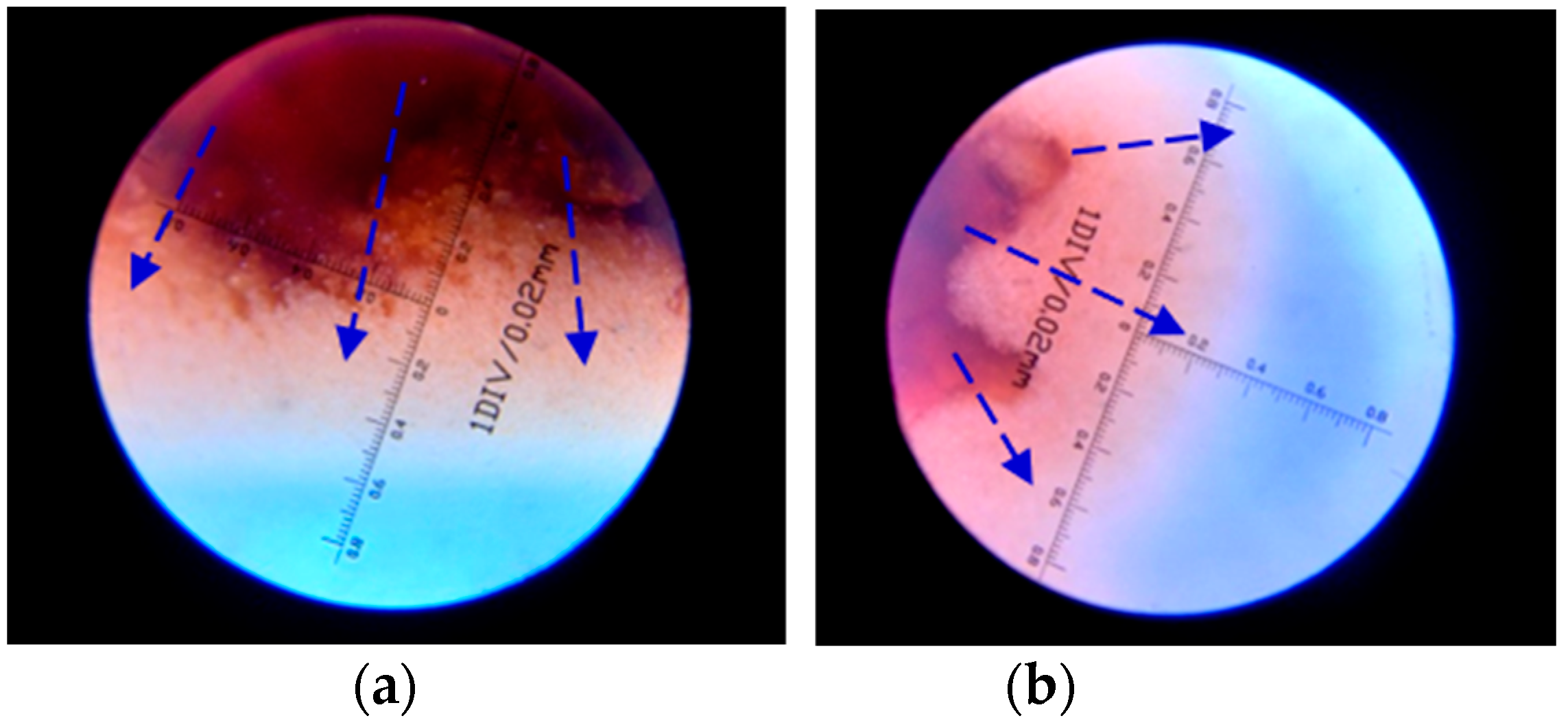 Polymers 15 03062 g012