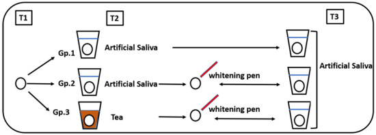 Polymers 15 03068 g001