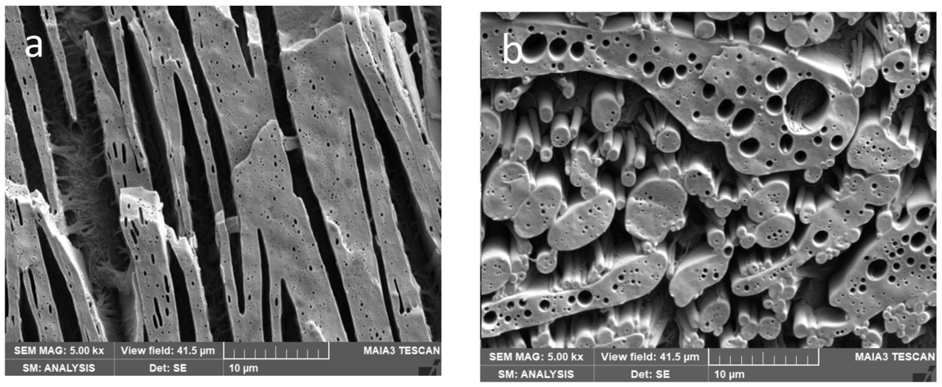 Polymers 15 03071 g003