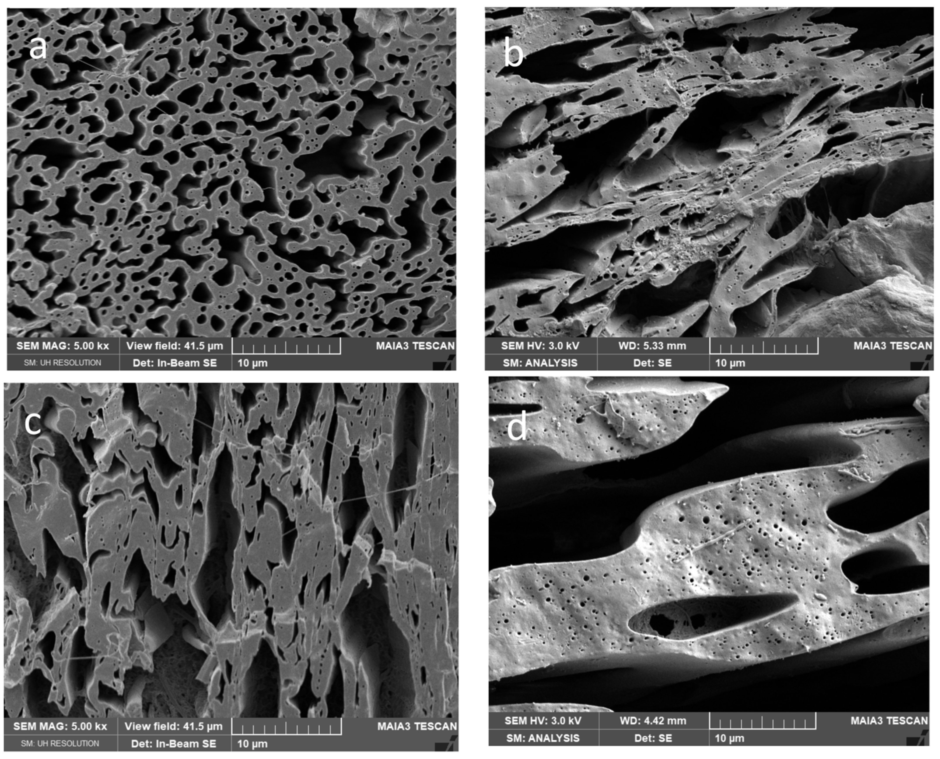 Polymers 15 03071 g005a