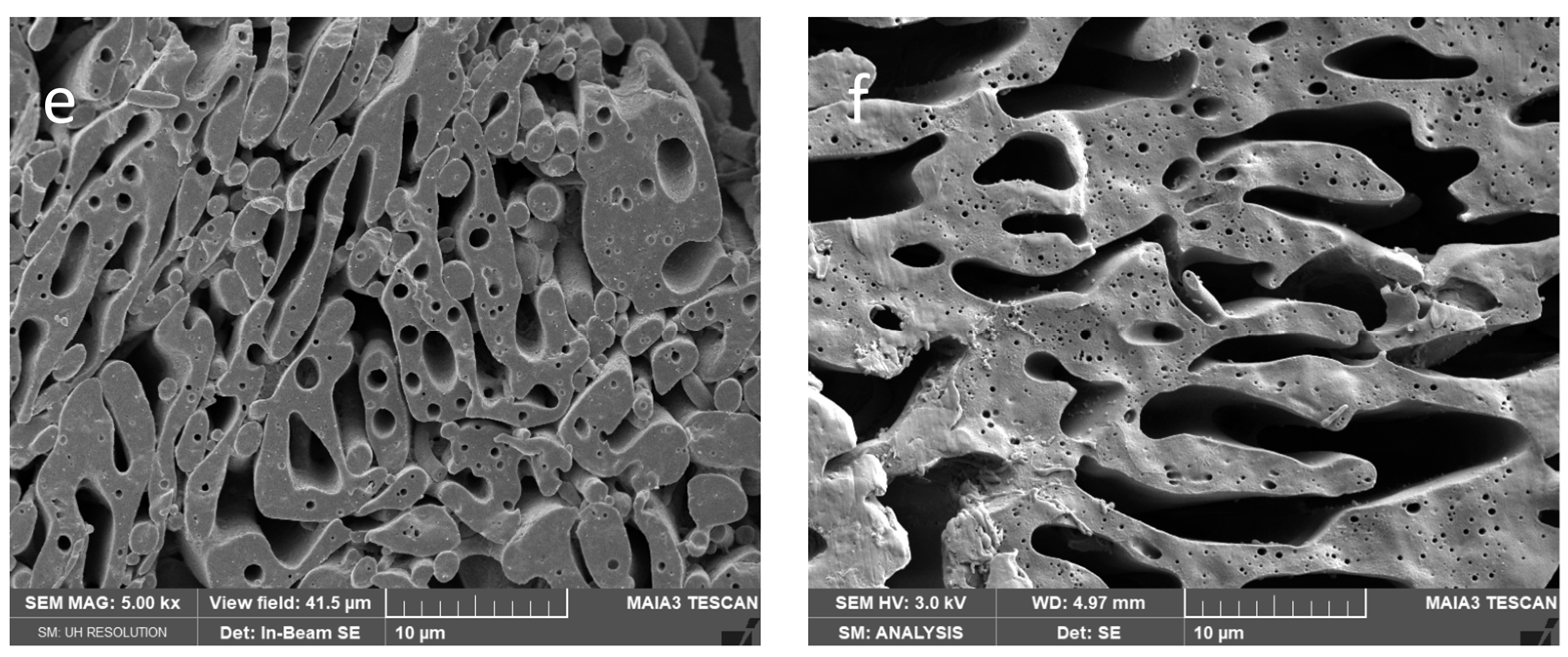 Polymers 15 03071 g005b
