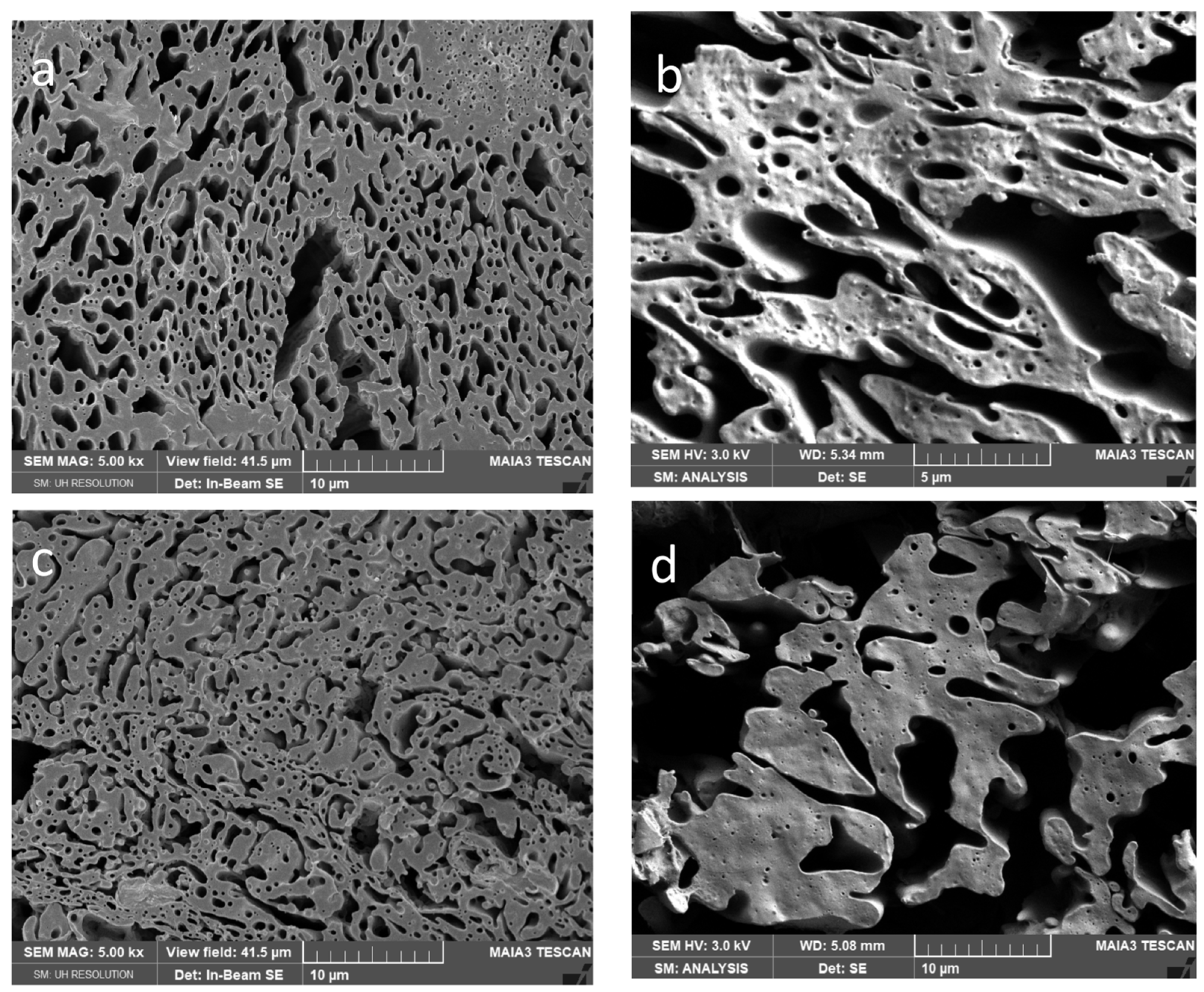 Polymers 15 03071 g006