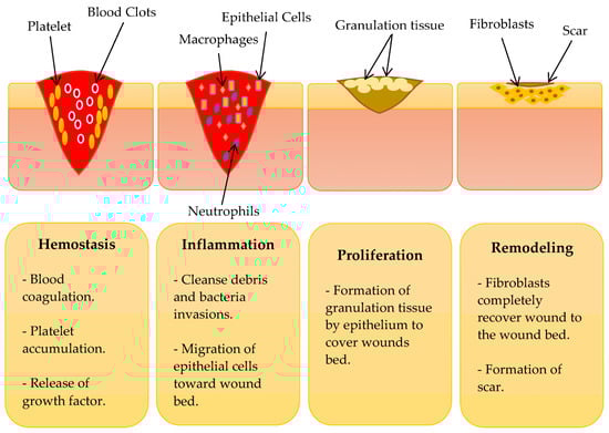 Polymers 15 03085 g001