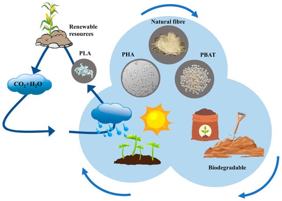 Polymers 15 03096 g005