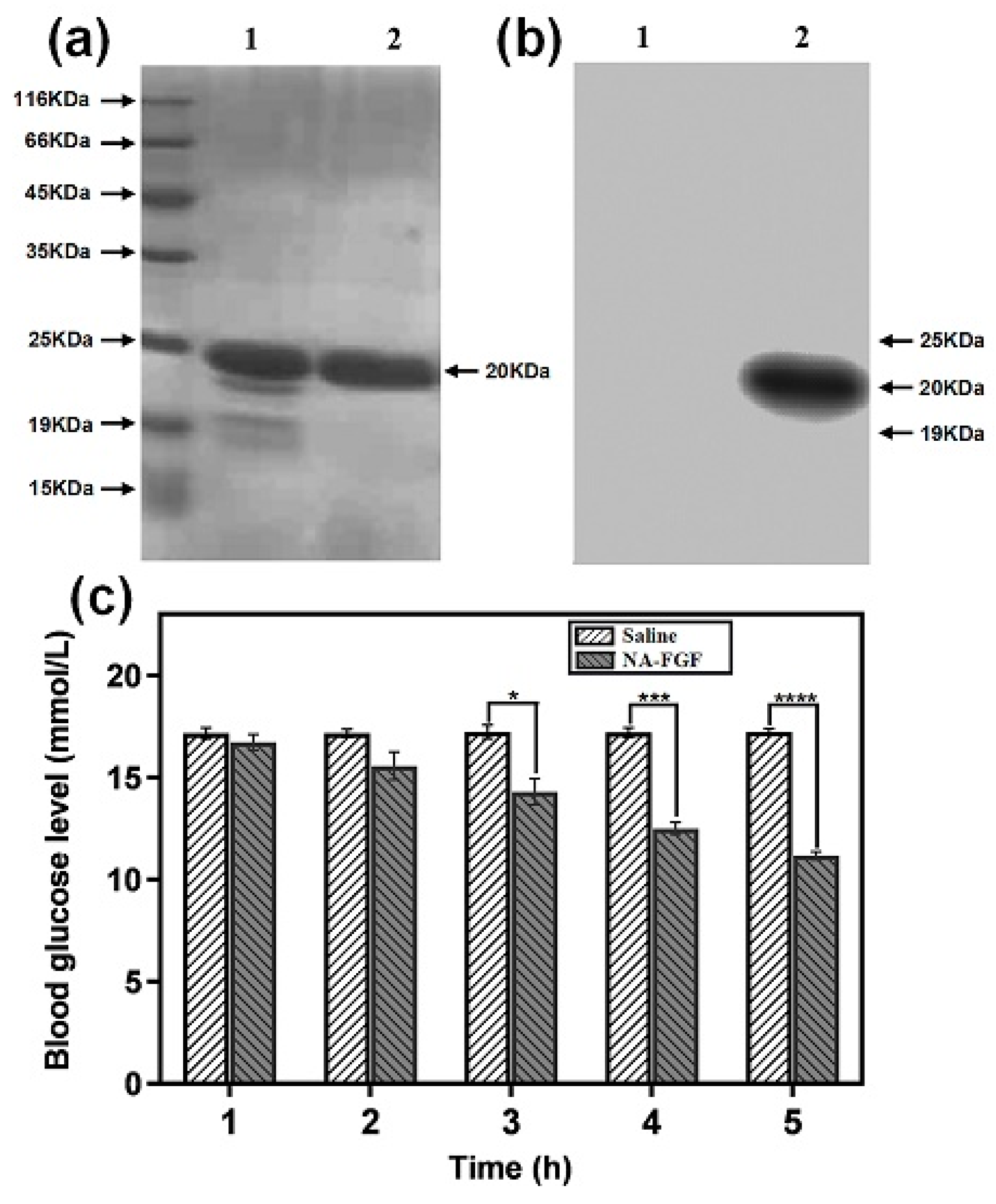 Polymers 15 03099 g001 Polymers 15 03099 g001