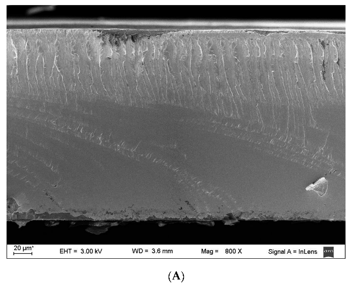 Polymers 15 03106 g002a