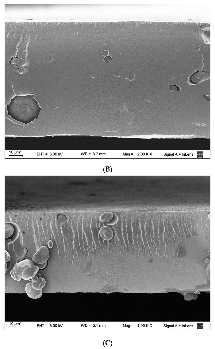 Polymers 15 03106 g002b