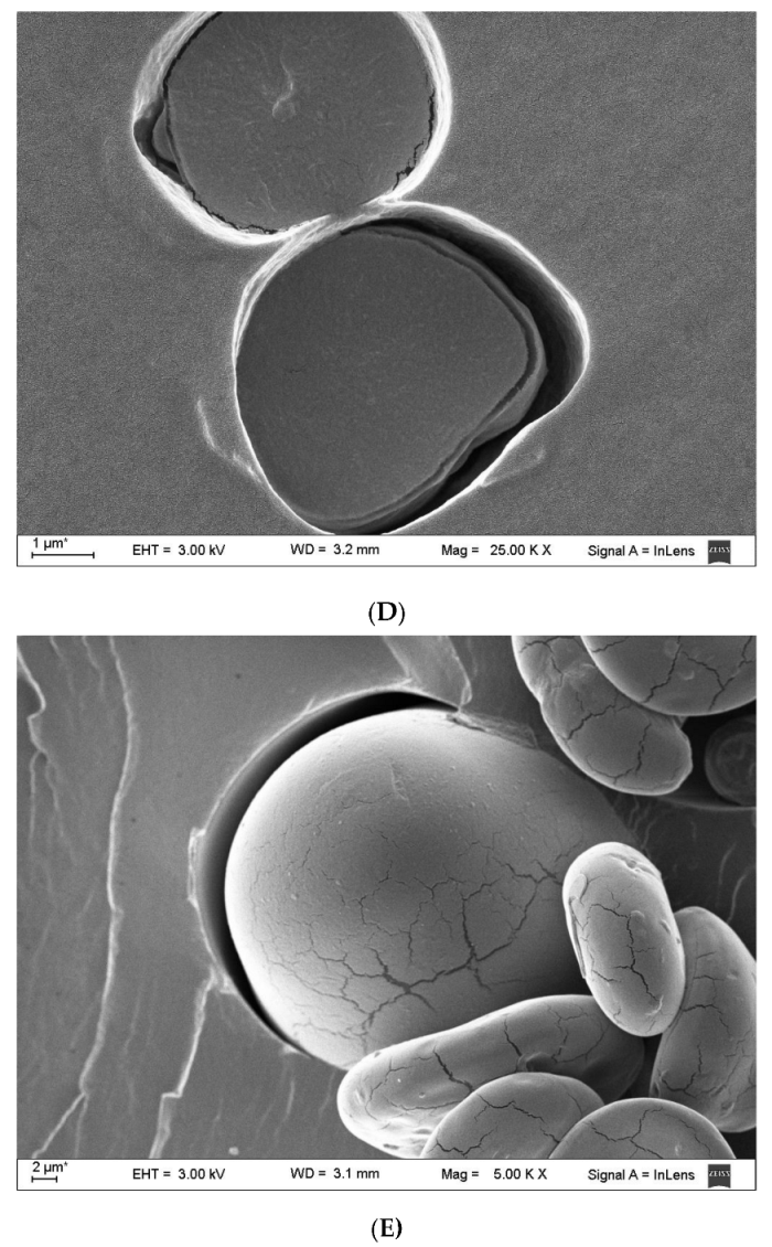 Polymers 15 03106 g002c