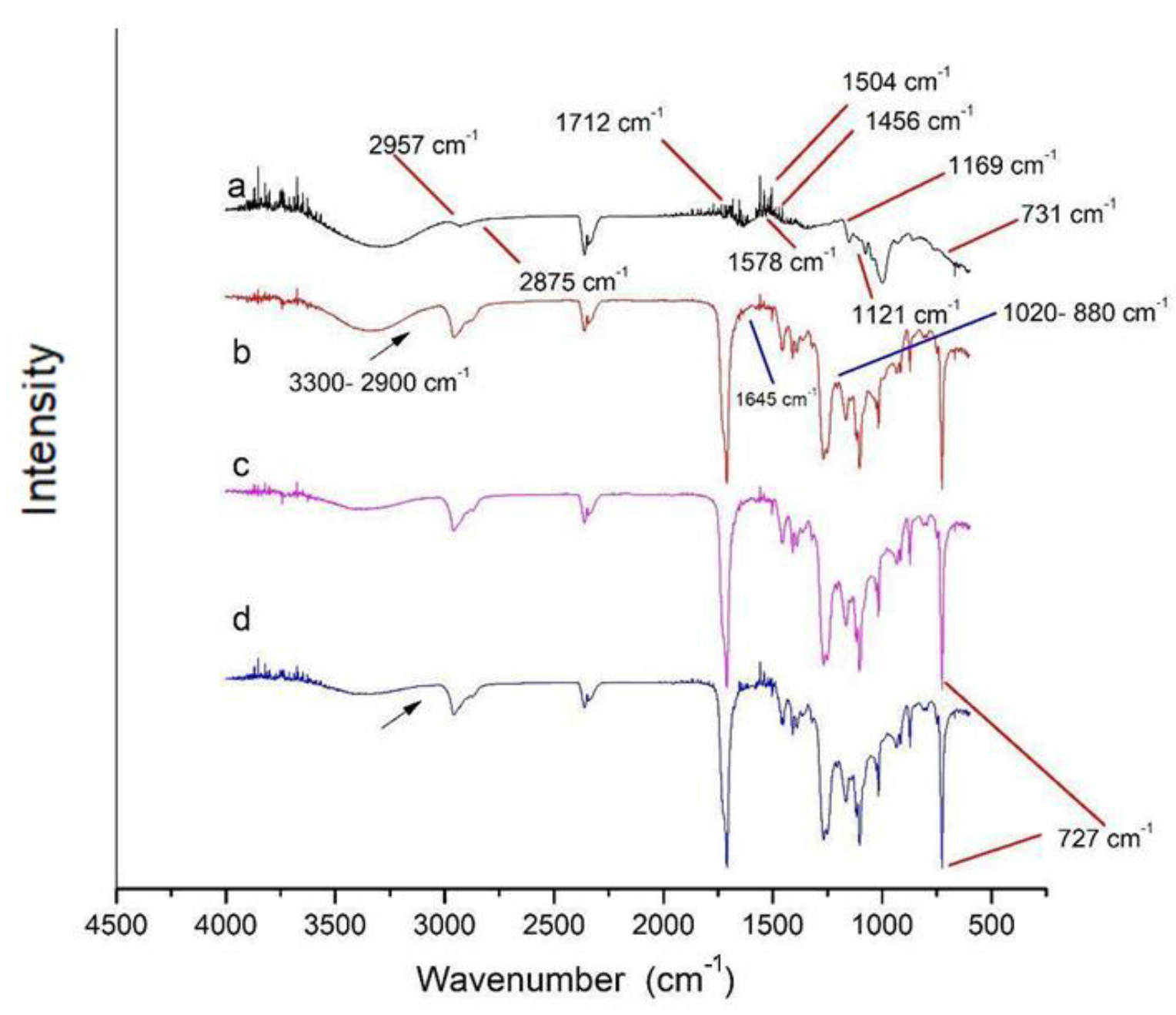 Polymers 15 03106 g004