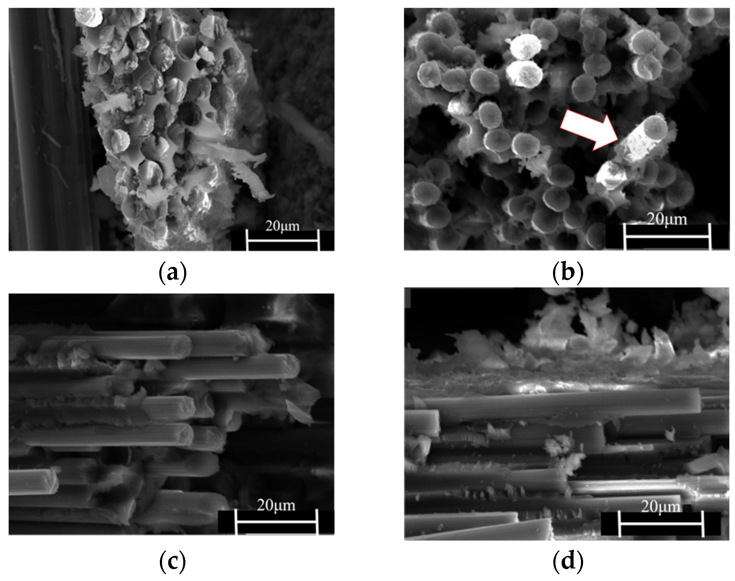 Polymers 15 03117 g010