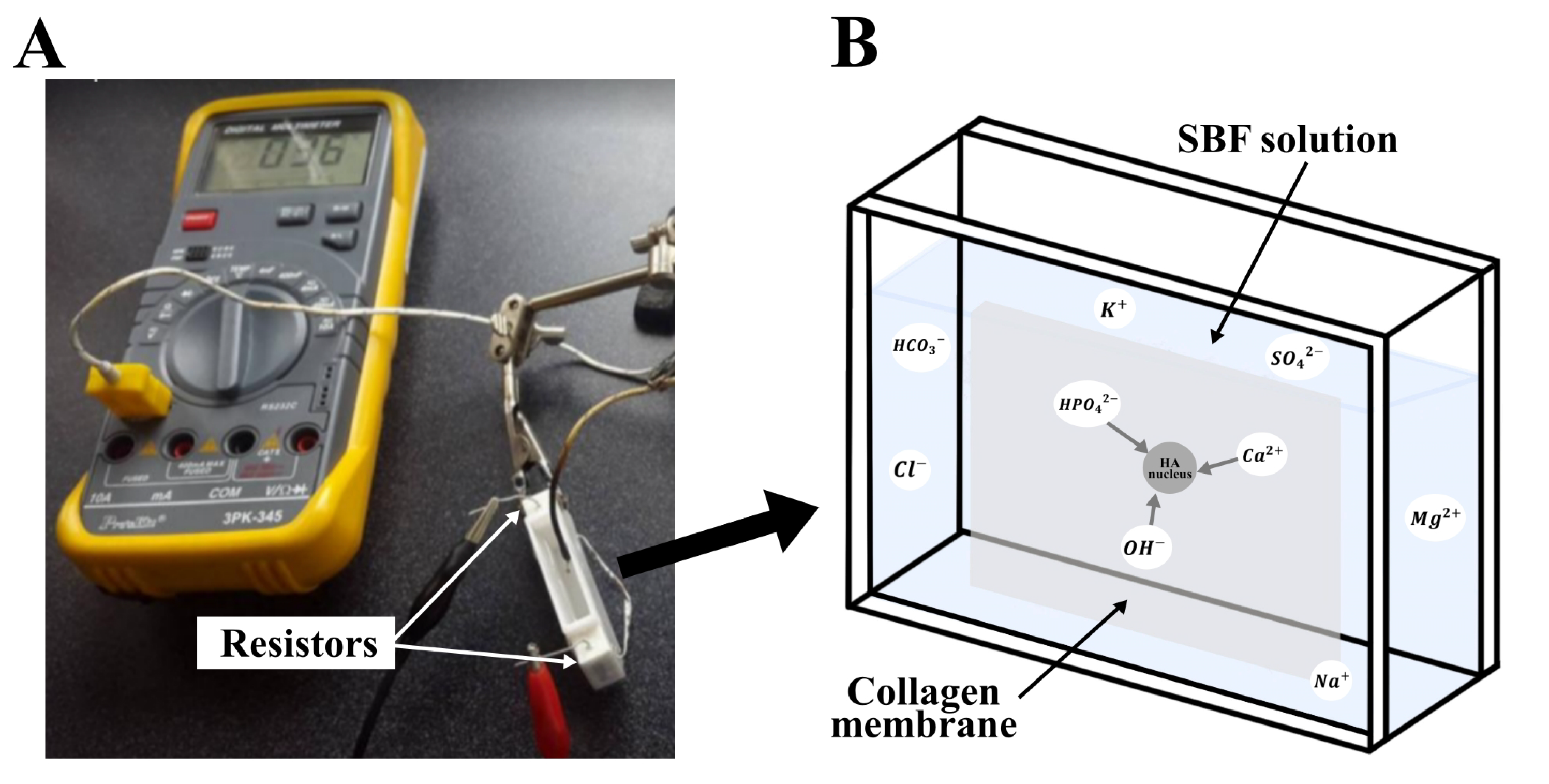 Polymers 15 03121 g001