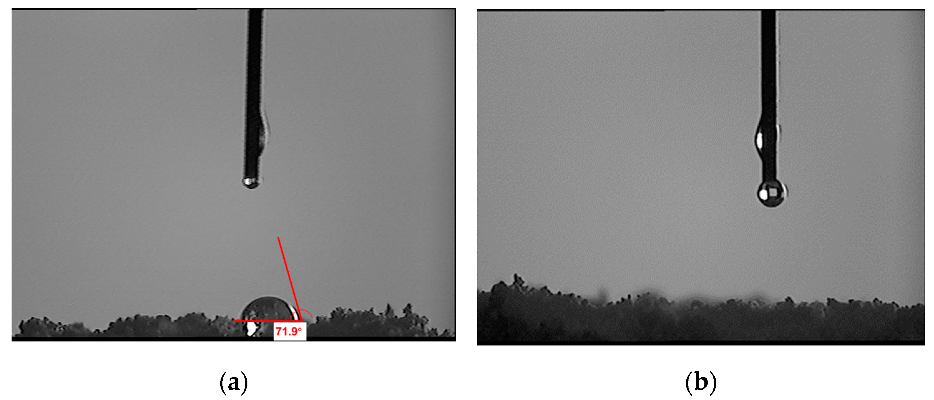 Polymers 15 03130 g003 Polymers 15 03130 g003