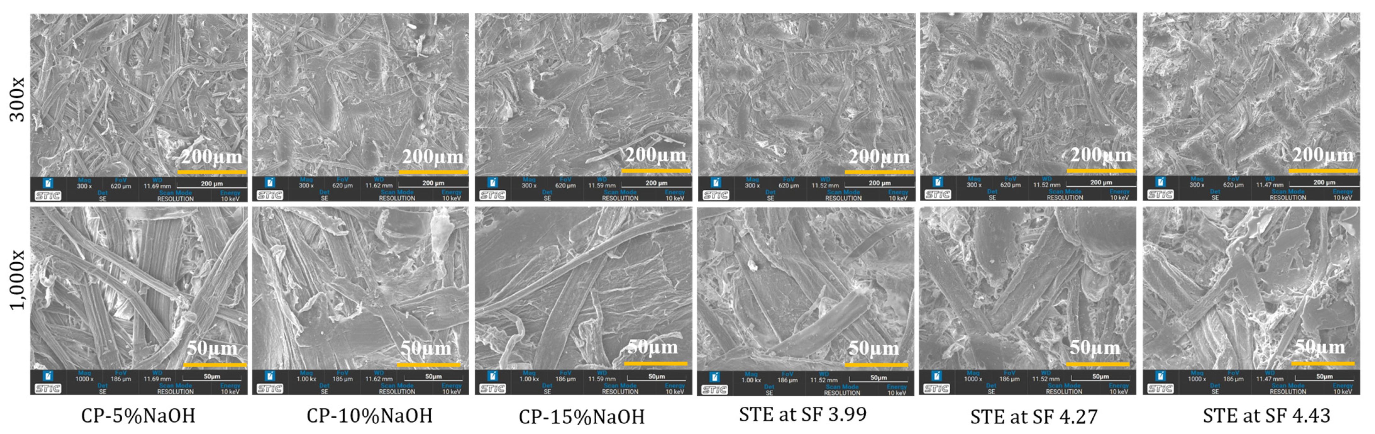 Polymers 15 03132 g004 Polymers 15 03132 g004