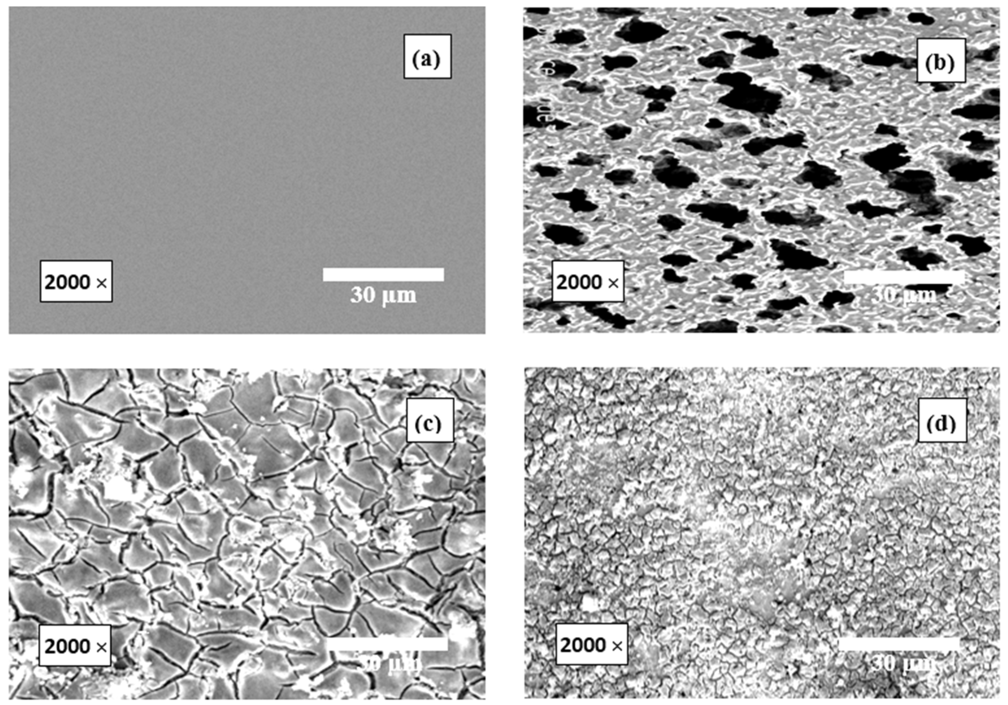 Polymers 15 03144 g015 Polymers 15 03144 g015