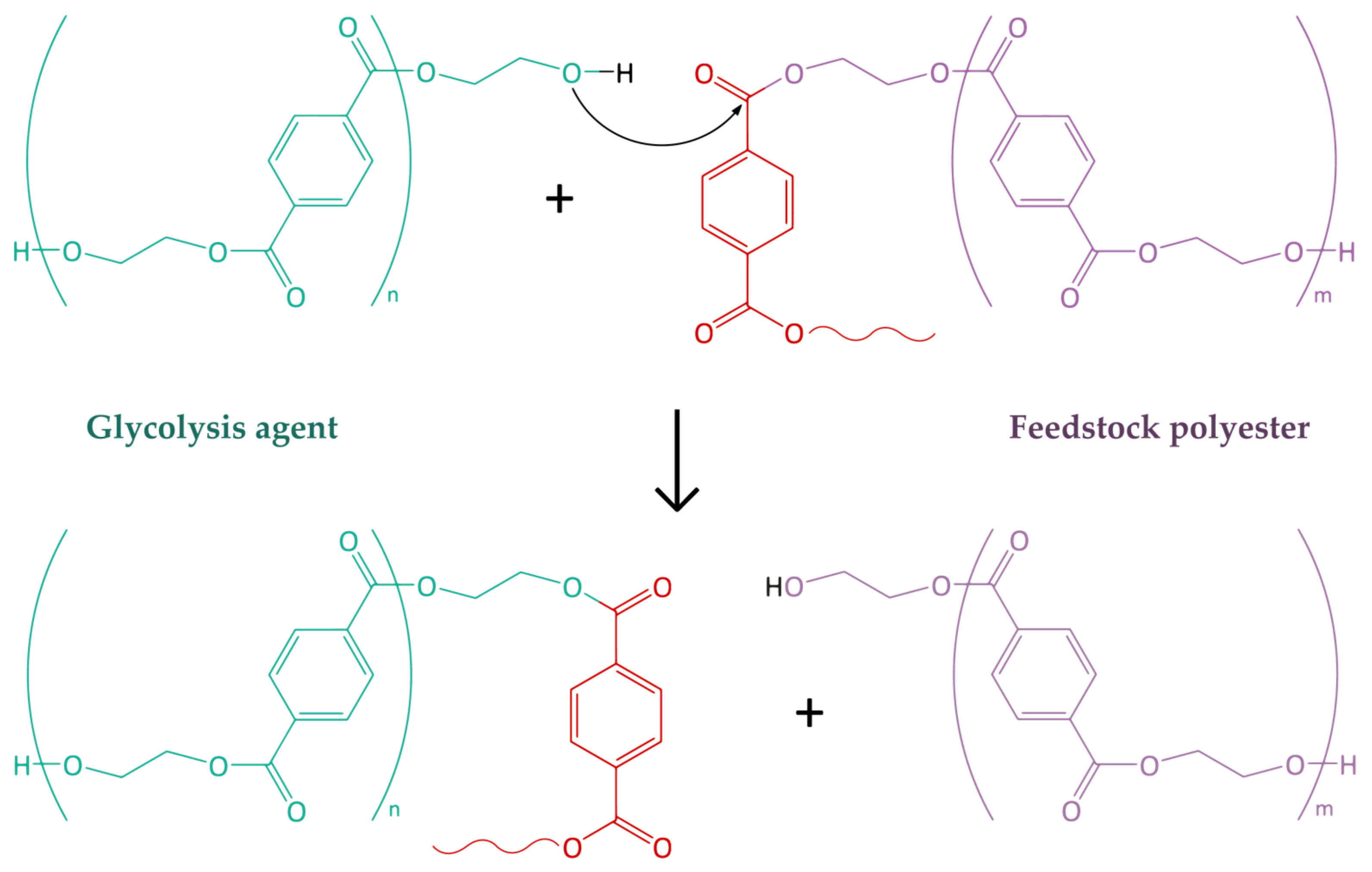 Polymers 15 03146 g002