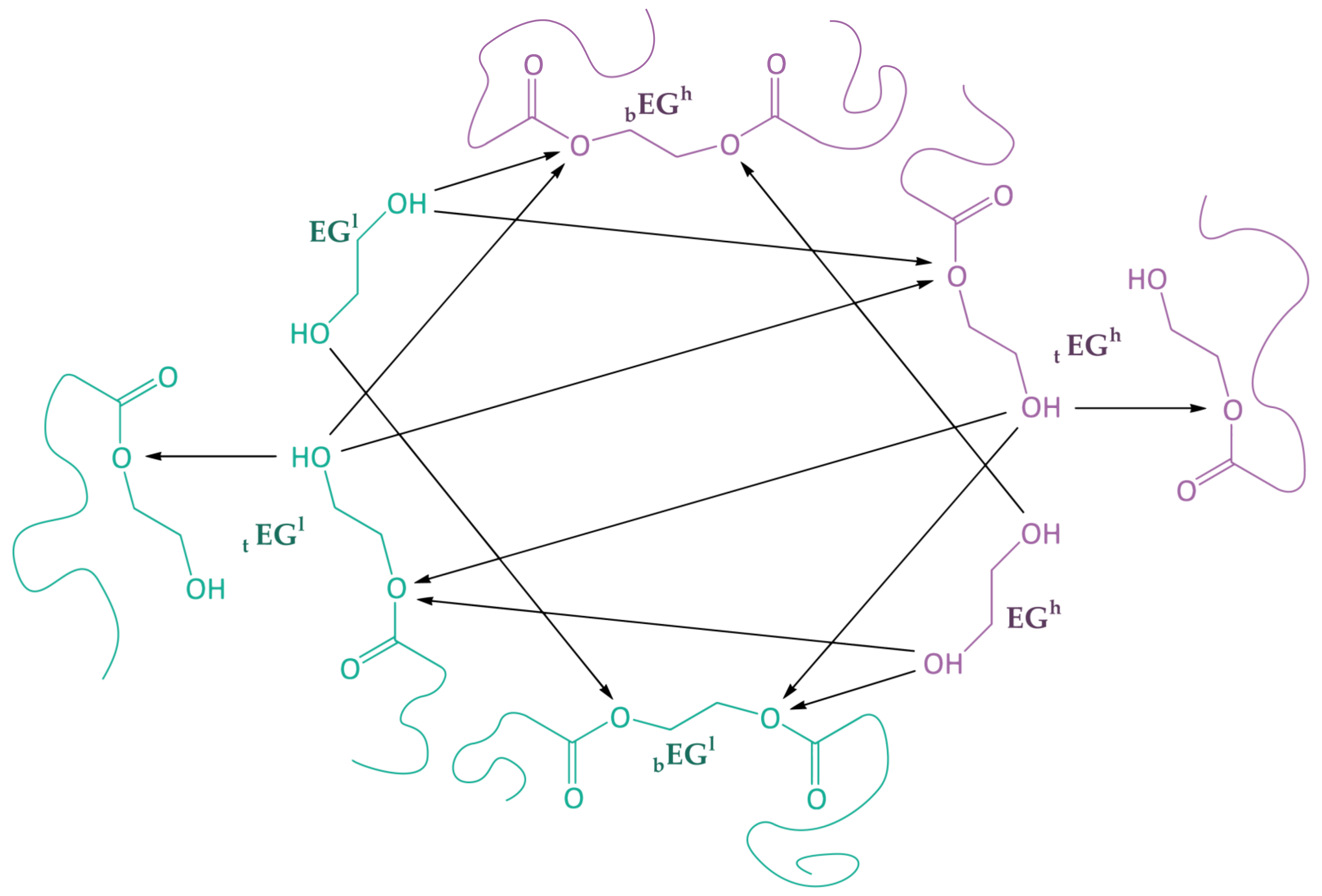 Polymers 15 03146 g003