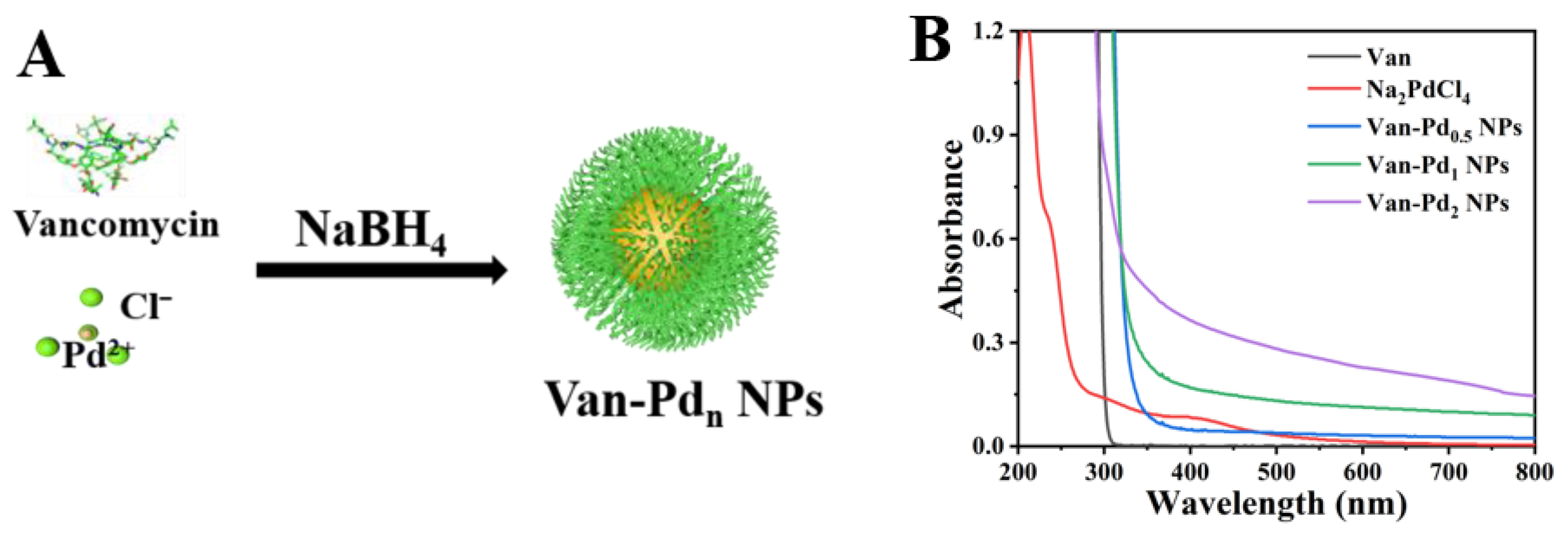 Polymers 15 03148 g001