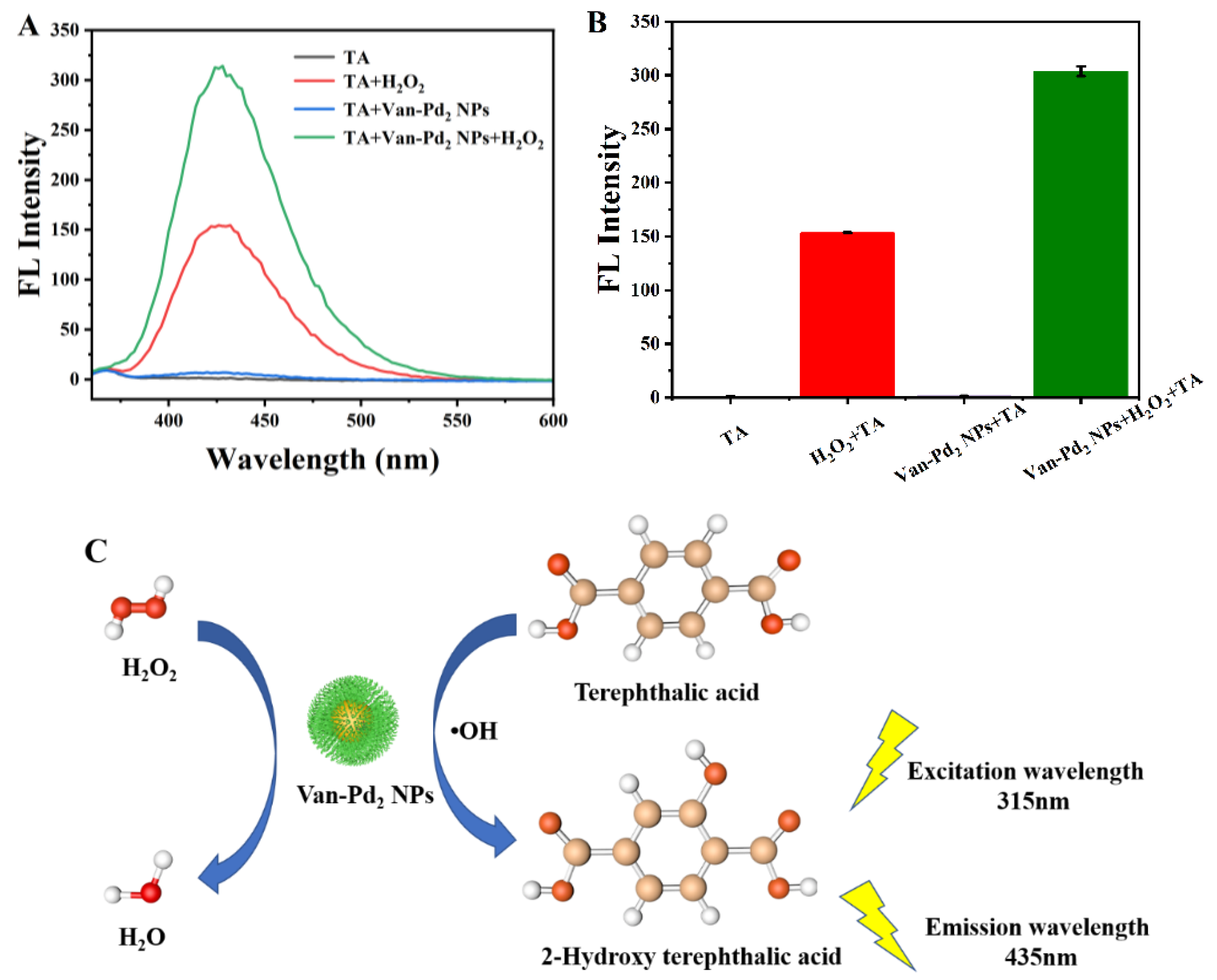 Polymers 15 03148 g008