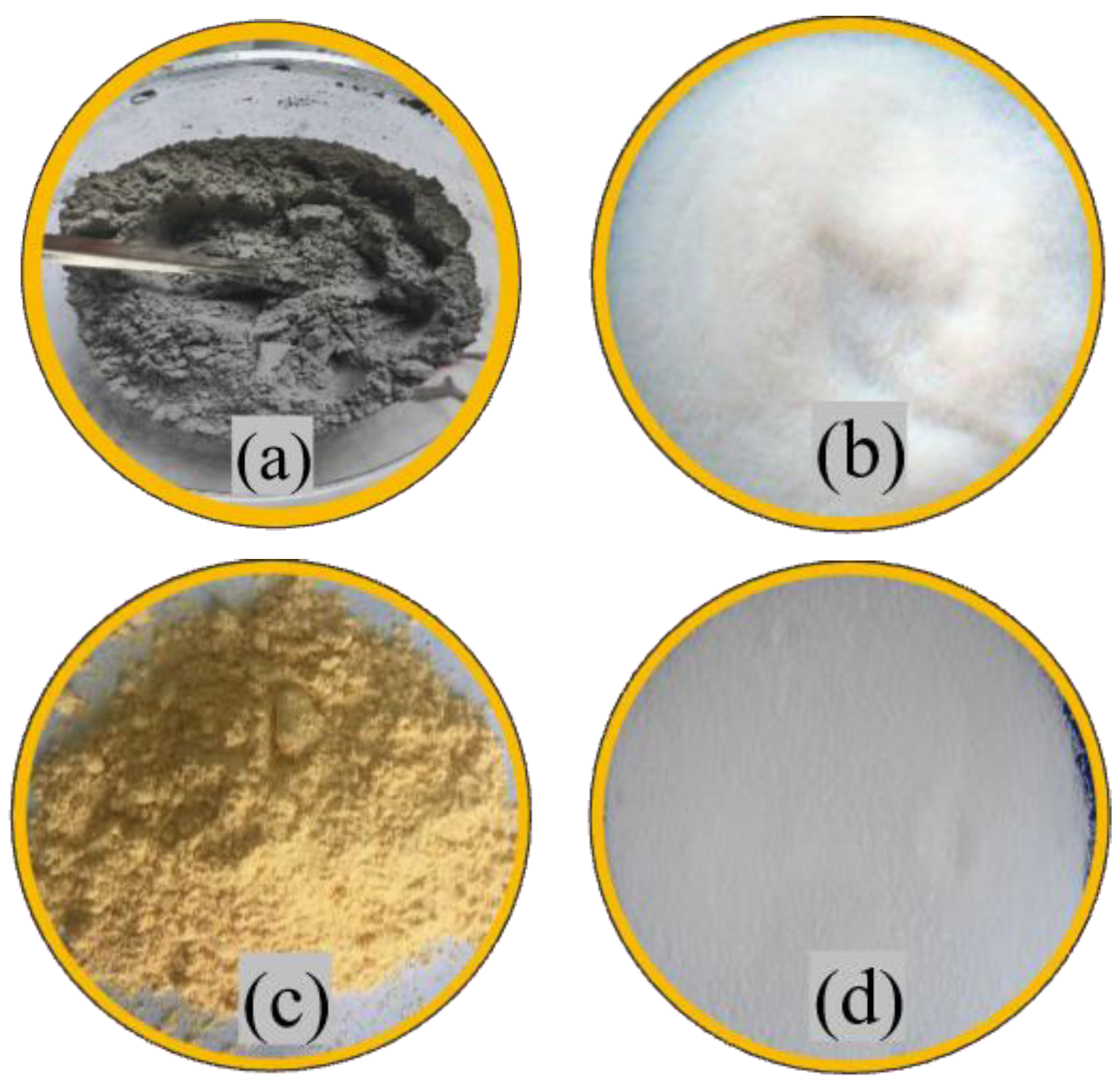 Polymers 15 03254 g001 Polymers 15 03254 g001