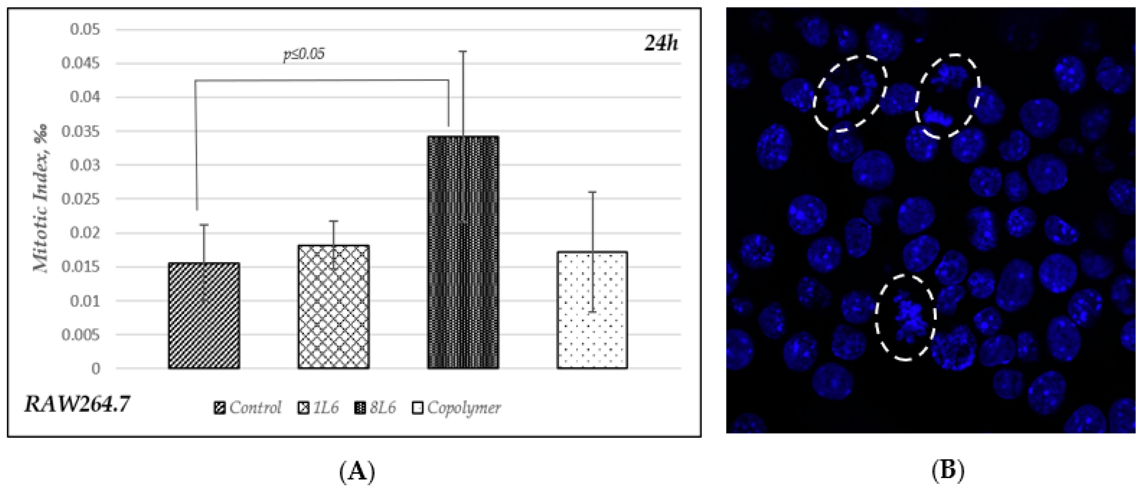 Polymers 15 03328 g005