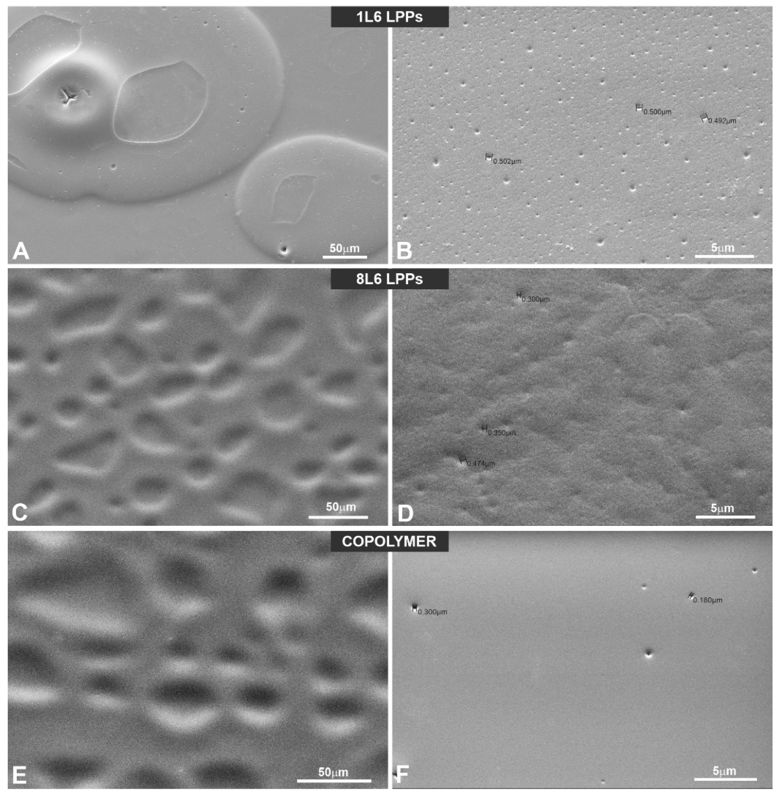 Polymers 15 03328 g007