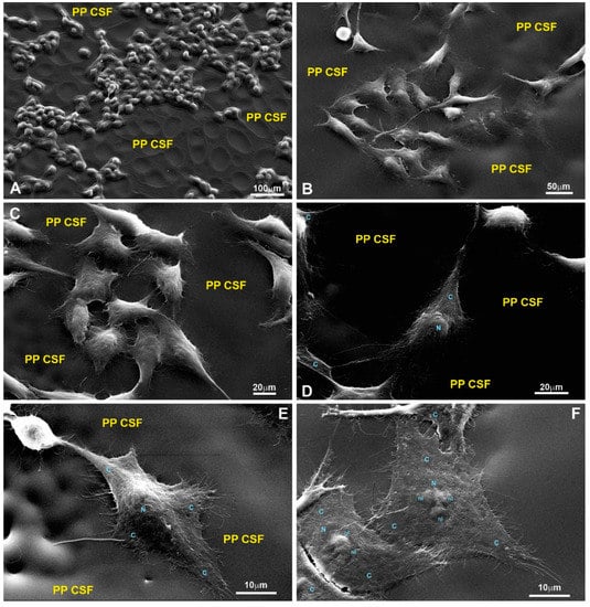 Polymers 15 03328 g0a8