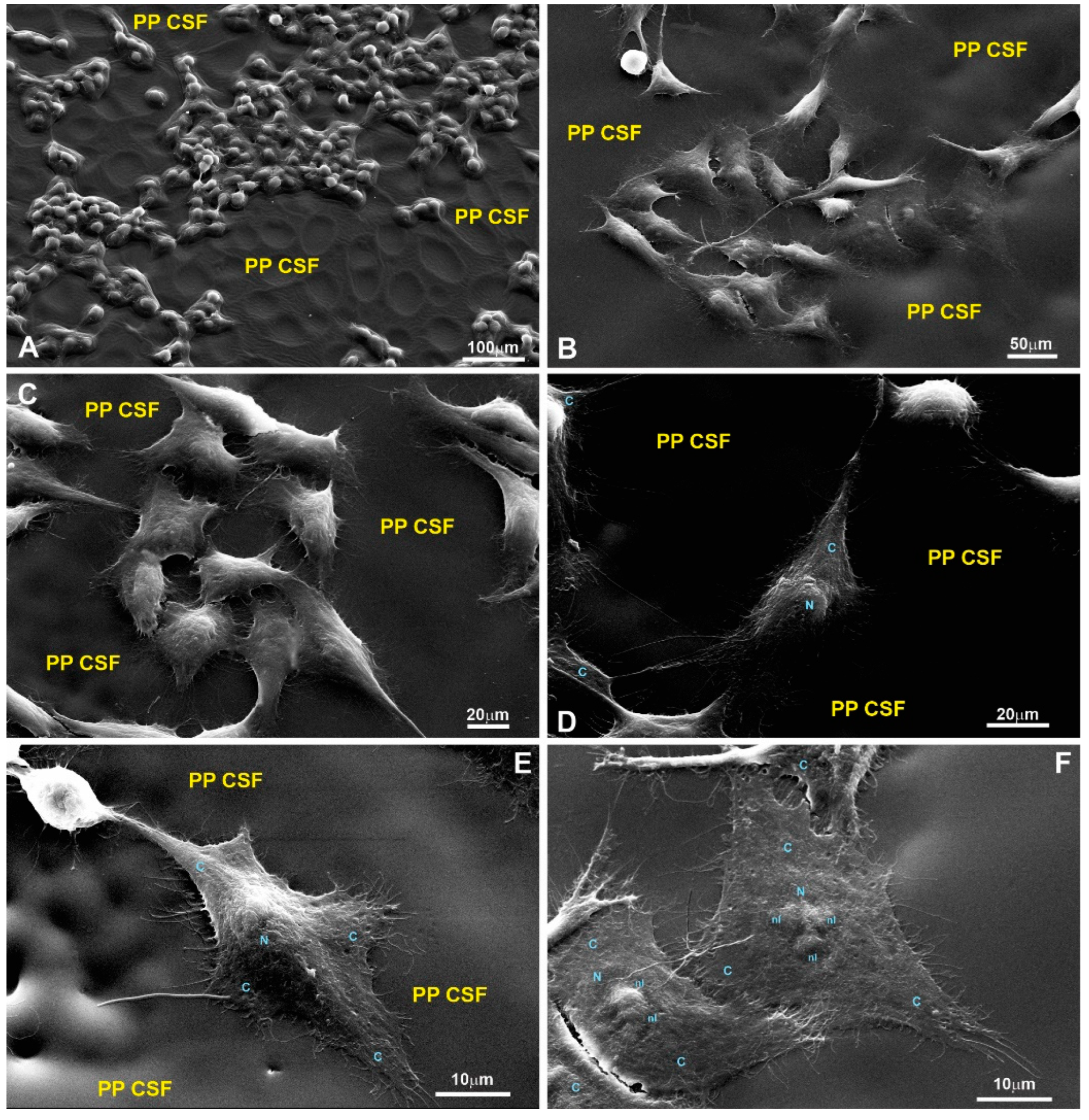 Polymers 15 03328 g0a8