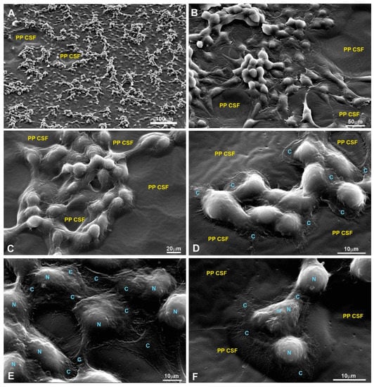 Polymers 15 03328 g0a9