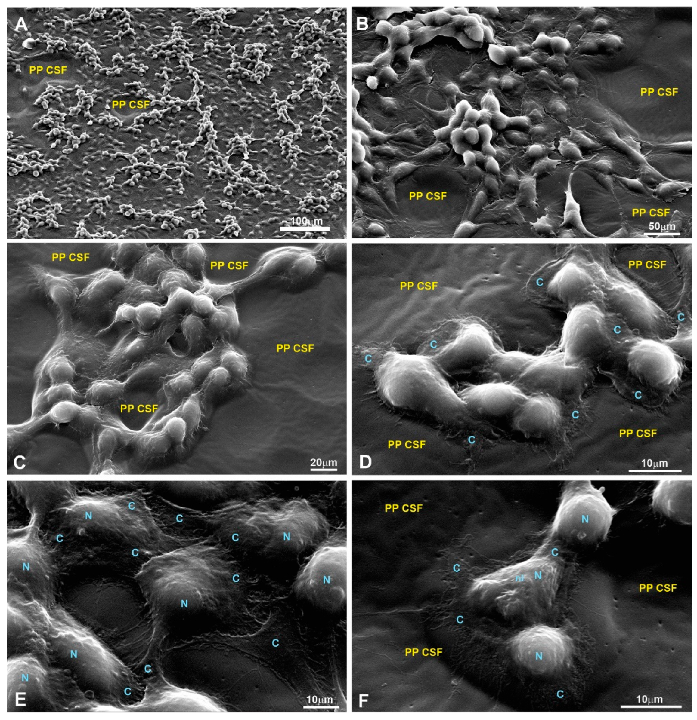 Polymers 15 03328 g0a9