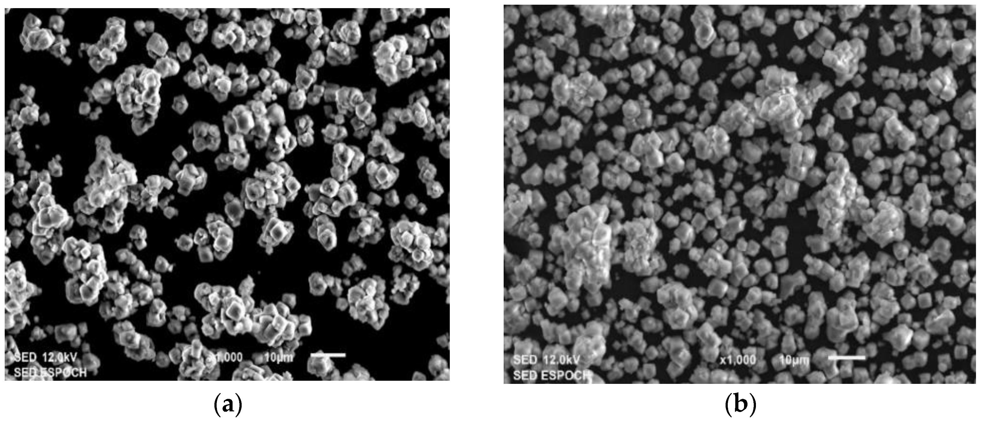 Polymers 15 03329 g004a