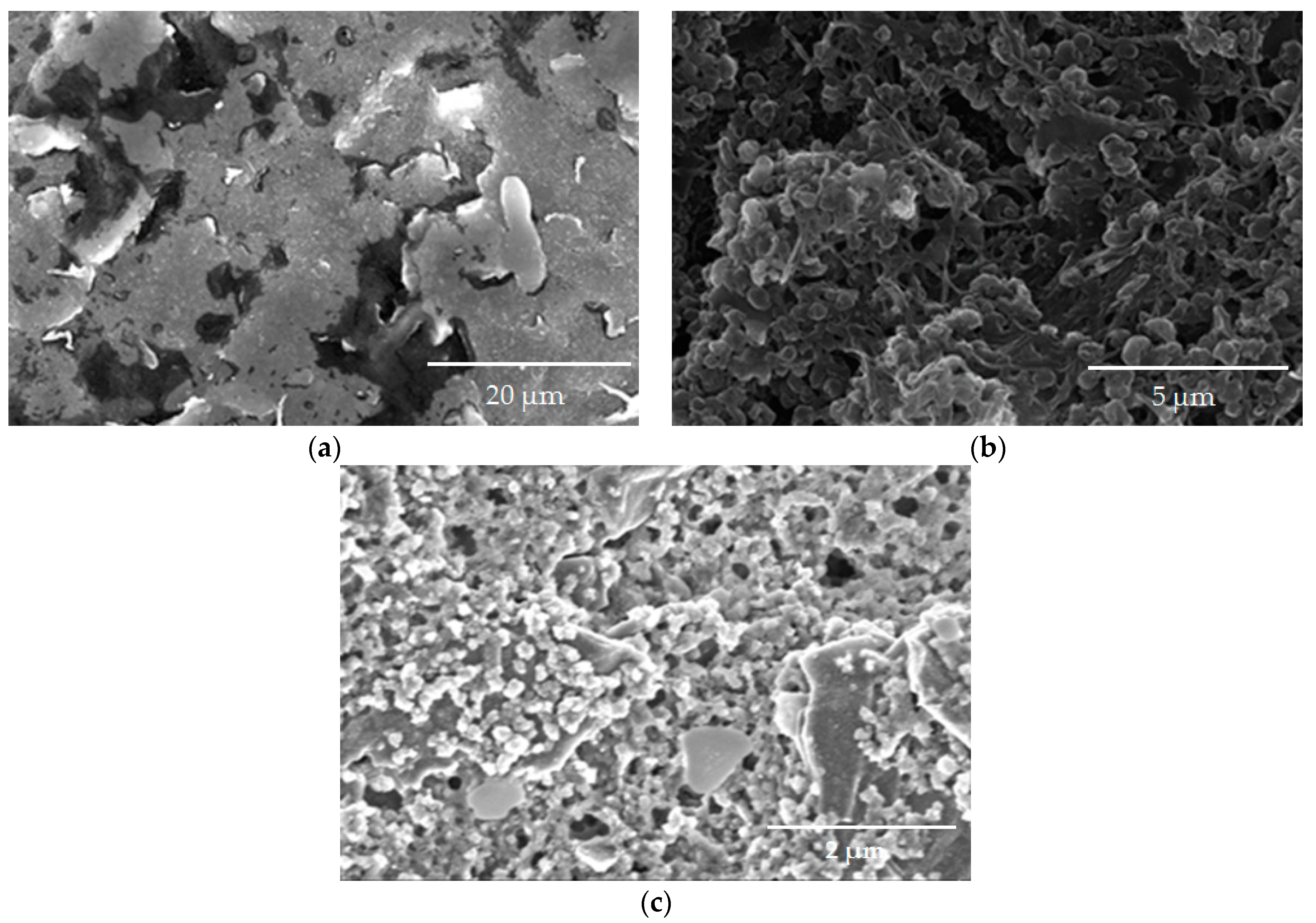 Polymers 15 03335 g004