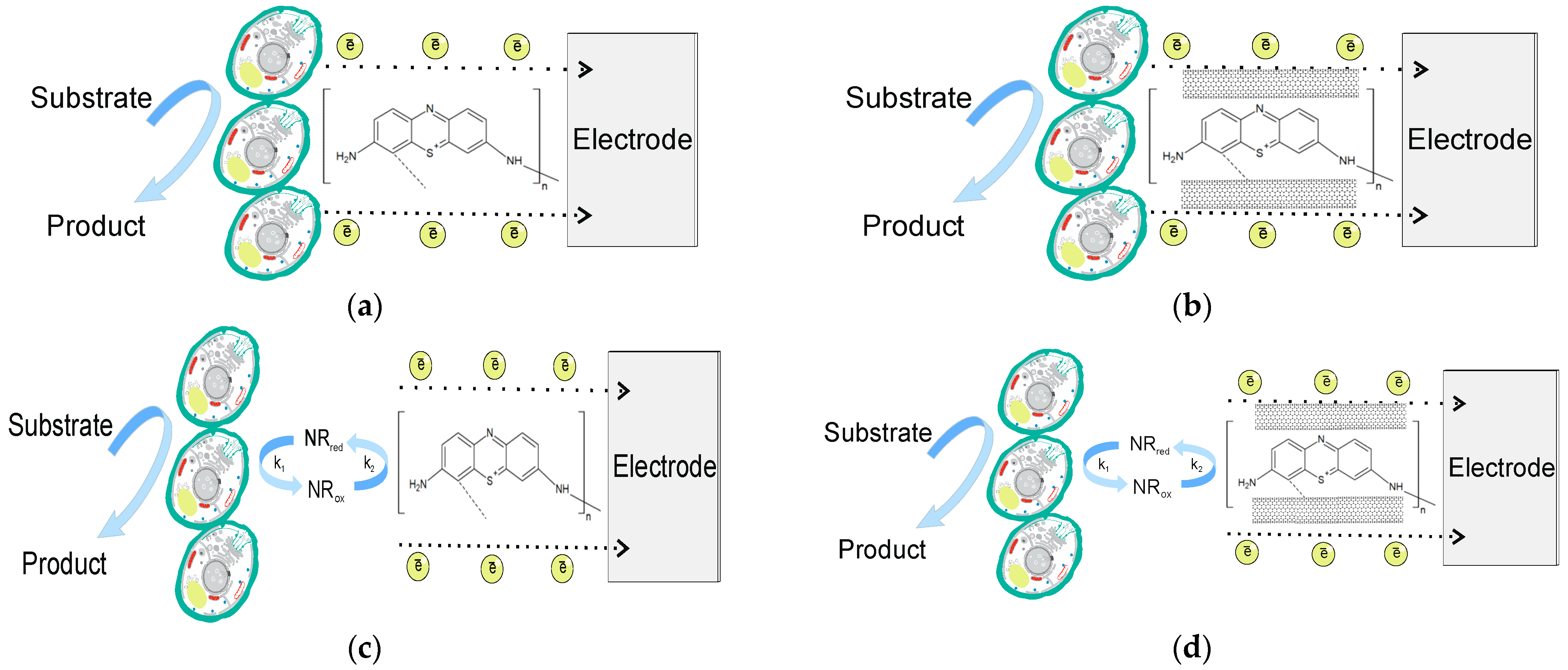 Polymers 15 03335 g005