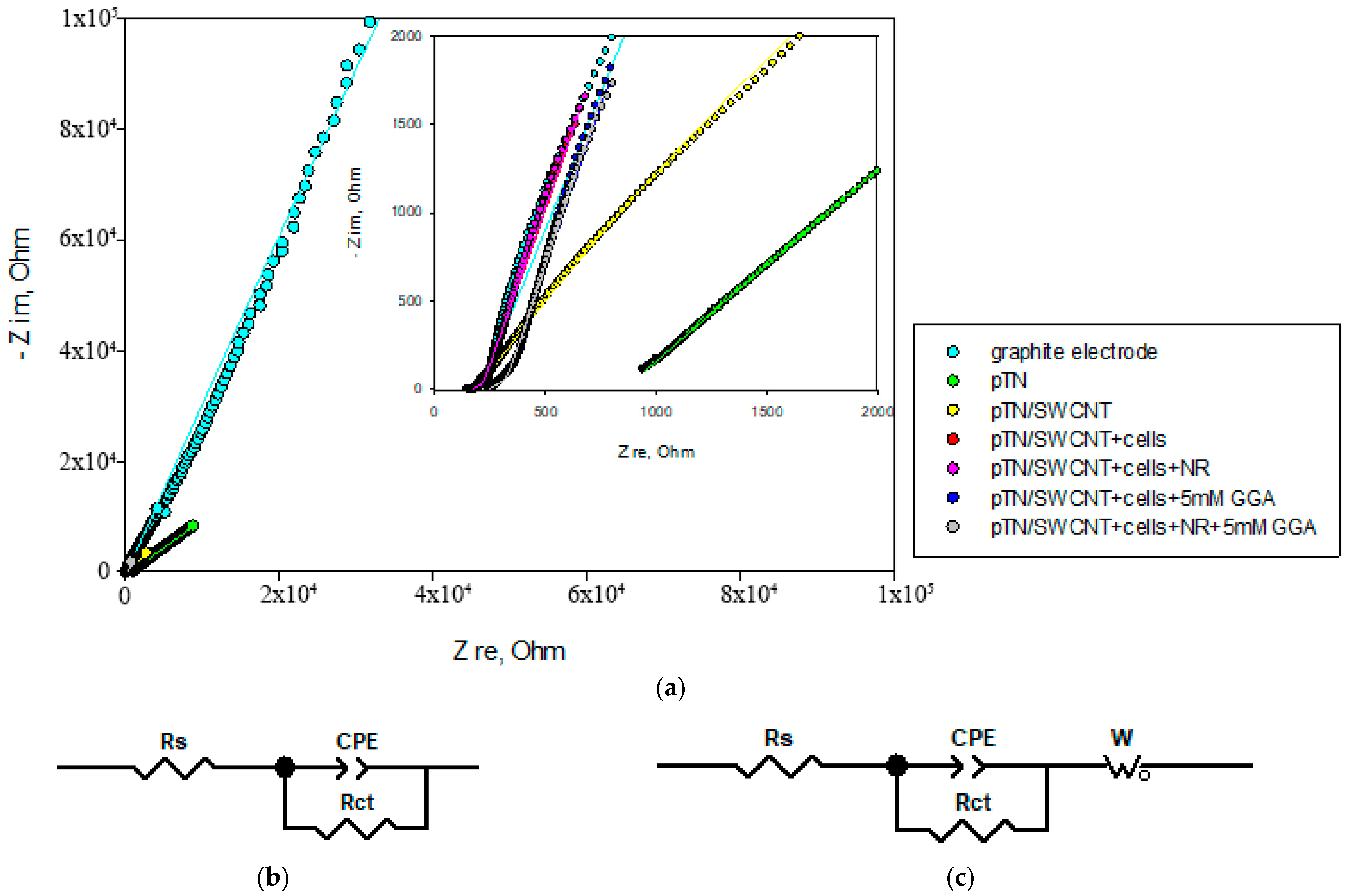Polymers 15 03335 g007