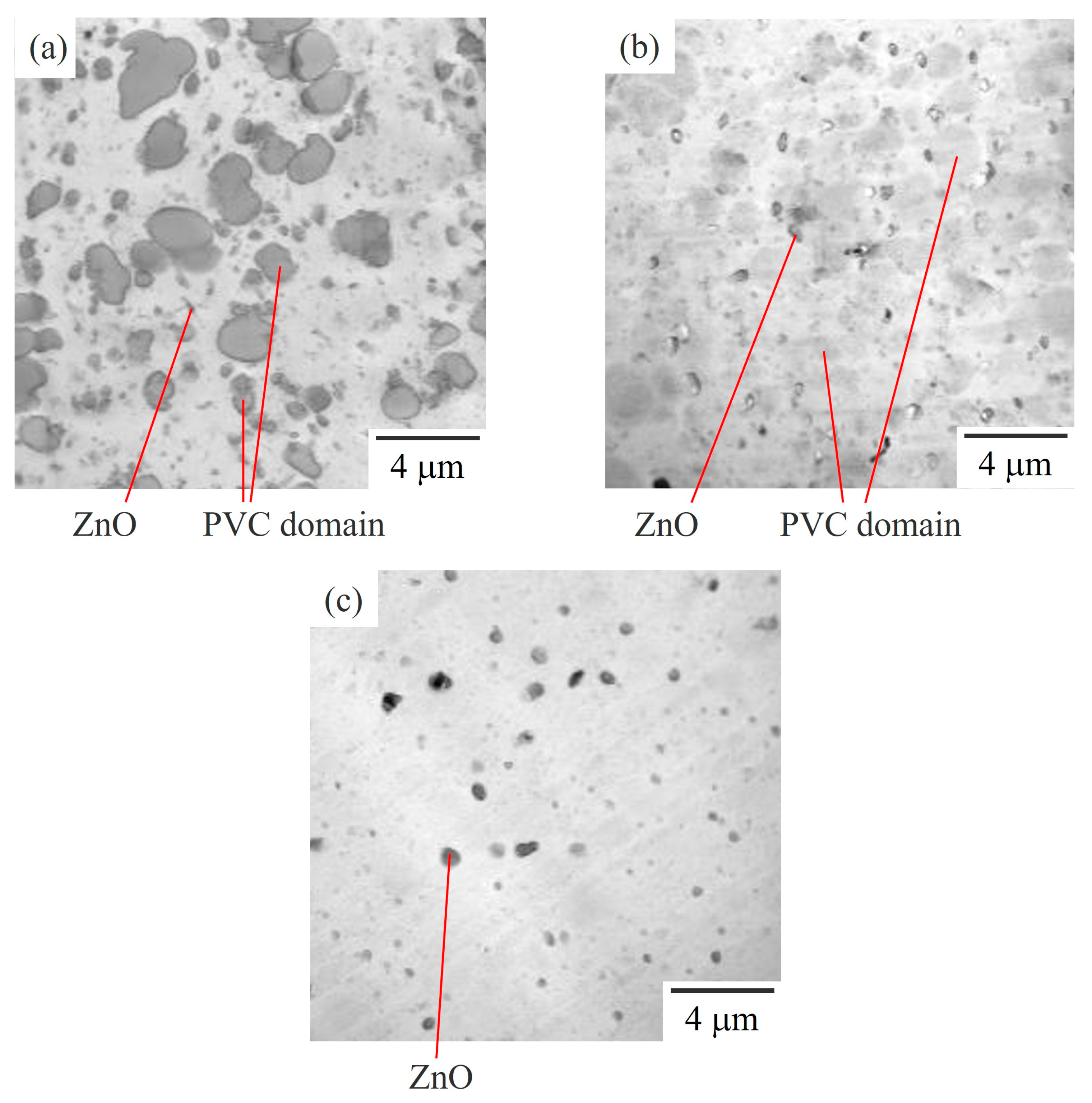 Polymers 15 03343 g002