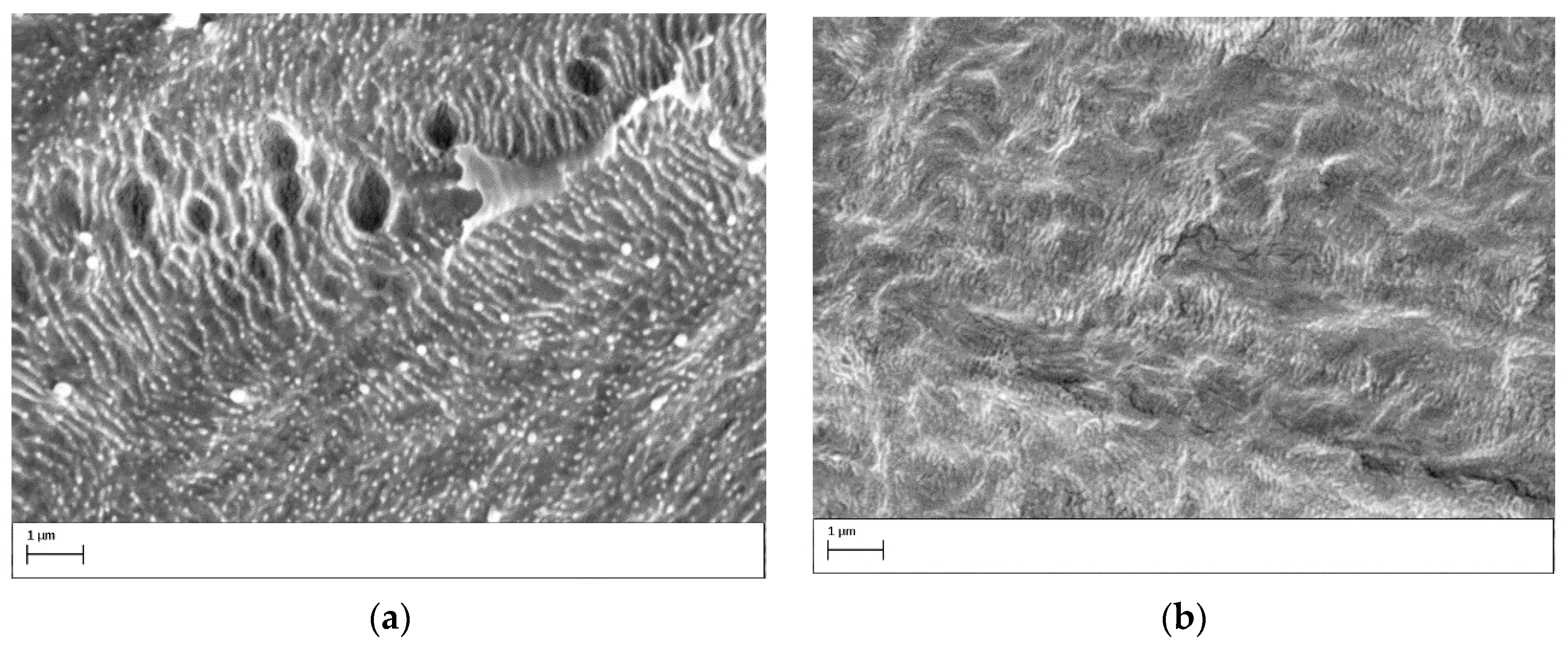 Polymers 15 03344 g011a