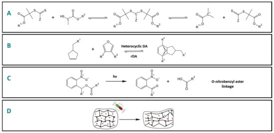 Polymers 15 03346 g003